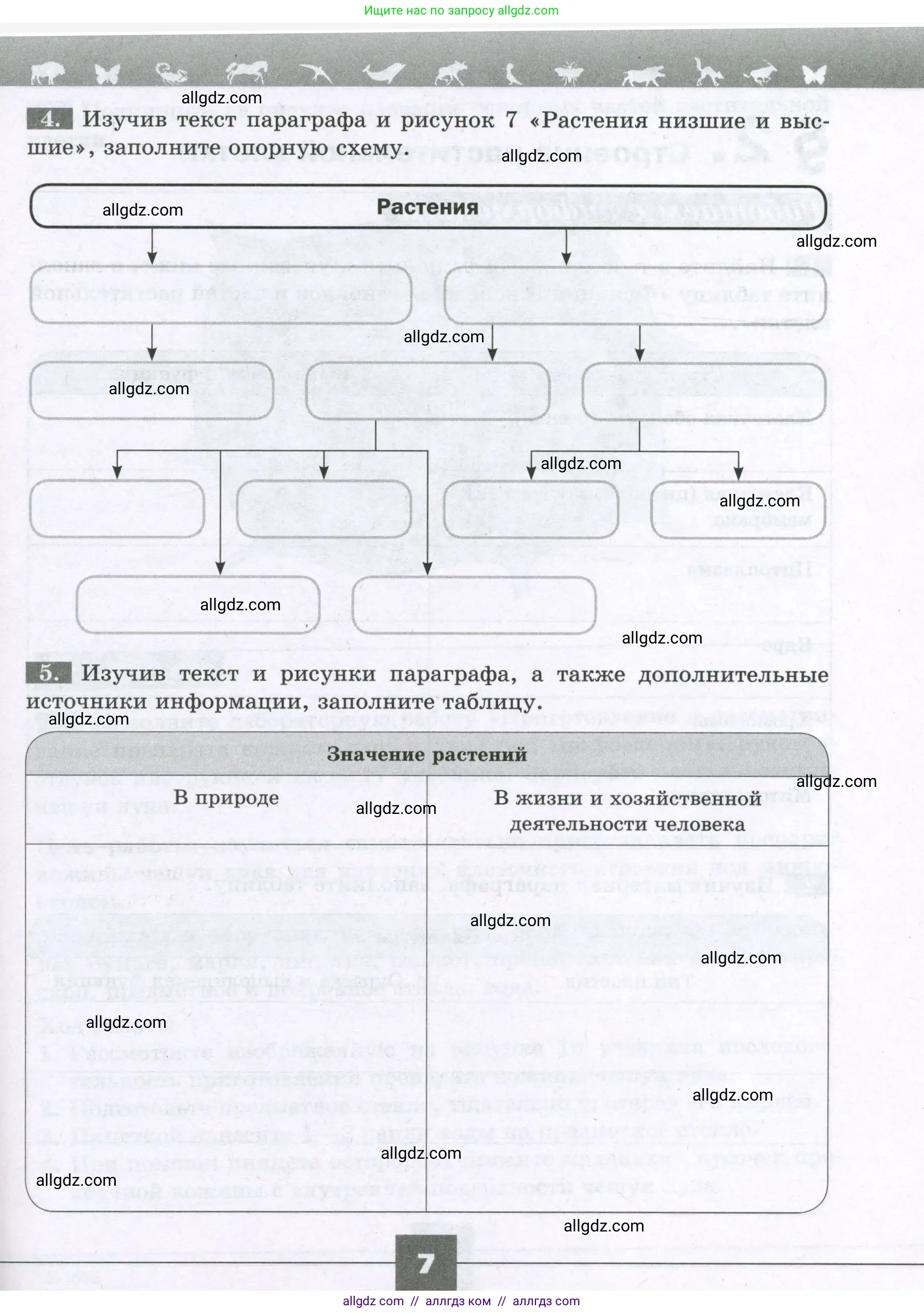 Биология, 6 класс рабочая тетрадь, авторы: Пасечник Владимир Васильевич, Суматохин Сергей Витальевич, Швецов Глеб Геннадьевич, Гапонюк Зоя Георгиевна, Косарькова Марина Викторовна, издательство Просвещение, Москва, 2023, белого цвета, страница 7