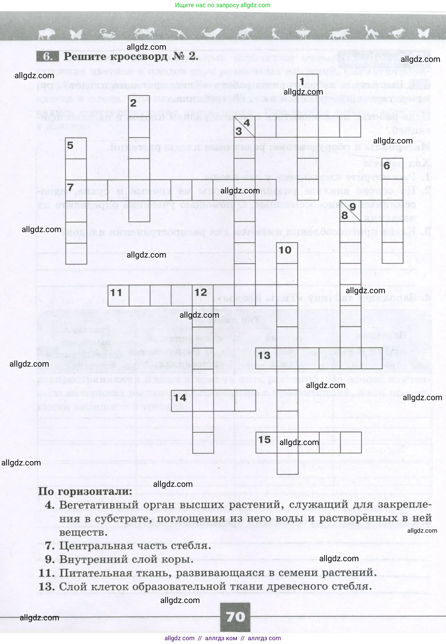 Биология, 6 класс рабочая тетрадь, авторы: Пасечник Владимир Васильевич, Суматохин Сергей Витальевич, Швецов Глеб Геннадьевич, Гапонюк Зоя Георгиевна, Косарькова Марина Викторовна, издательство Просвещение, Москва, 2023, белого цвета, страница 70