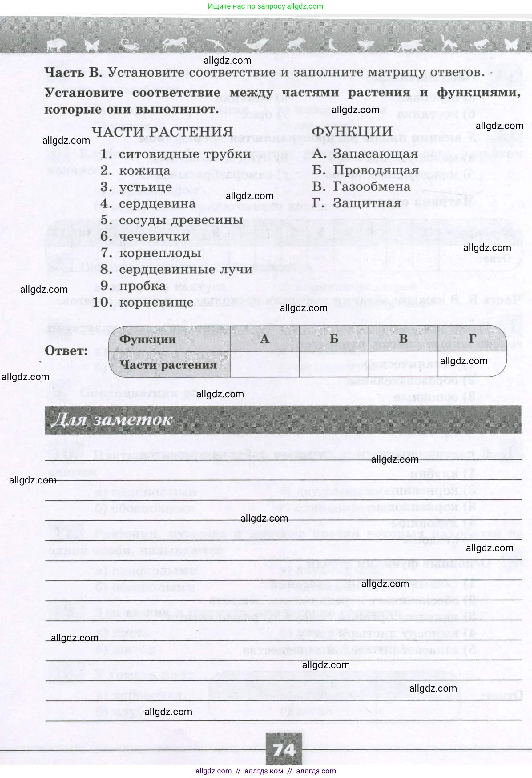 Биология, 6 класс рабочая тетрадь, авторы: Пасечник Владимир Васильевич, Суматохин Сергей Витальевич, Швецов Глеб Геннадьевич, Гапонюк Зоя Георгиевна, Косарькова Марина Викторовна, издательство Просвещение, Москва, 2023, белого цвета, страница 74