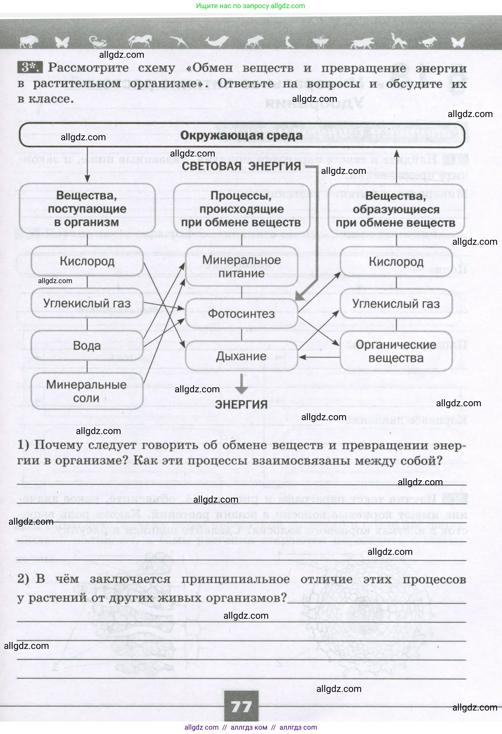 Биология, 6 класс рабочая тетрадь, авторы: Пасечник Владимир Васильевич, Суматохин Сергей Витальевич, Швецов Глеб Геннадьевич, Гапонюк Зоя Георгиевна, Косарькова Марина Викторовна, издательство Просвещение, Москва, 2023, белого цвета, страница 77