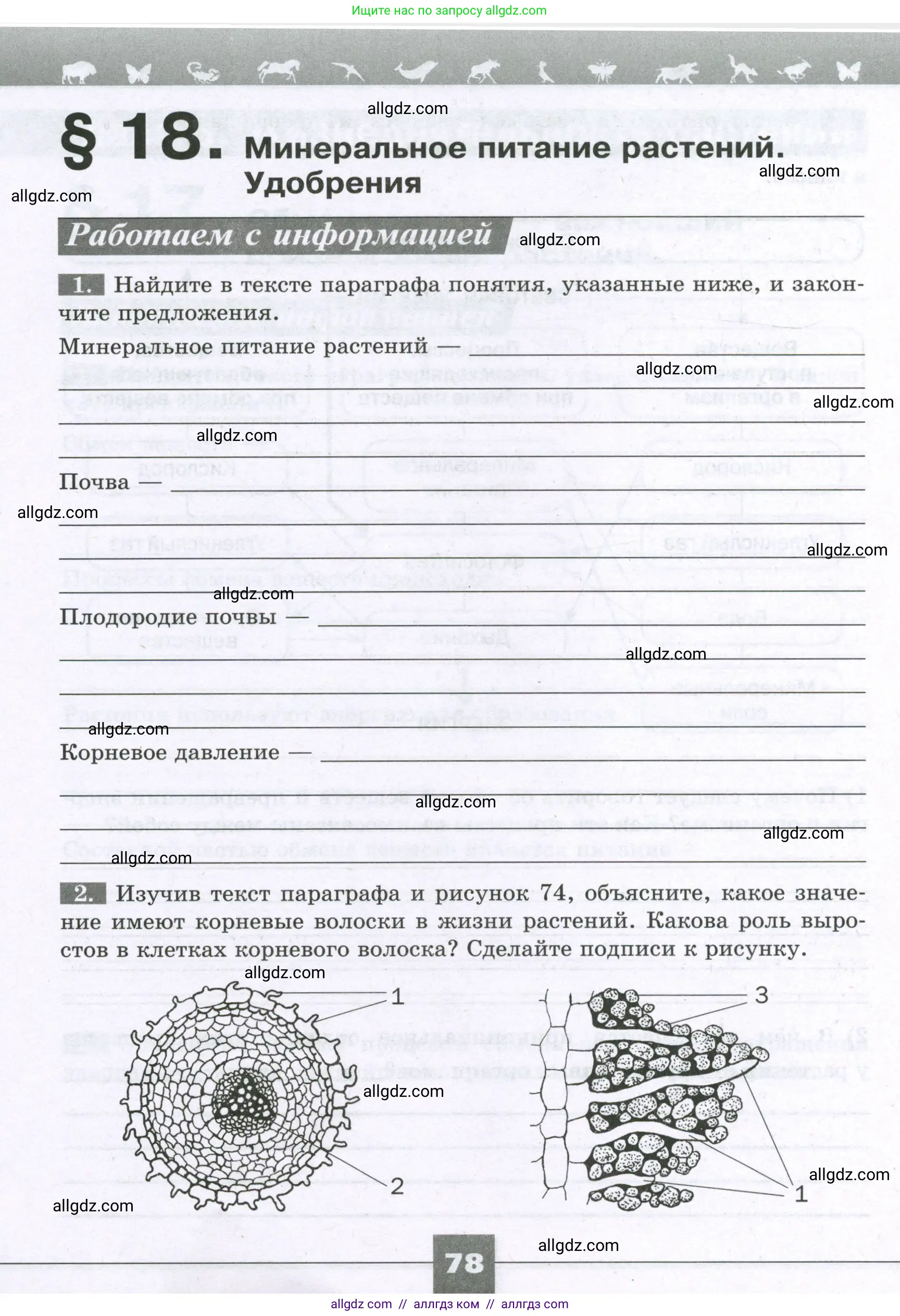 Биология, 6 класс рабочая тетрадь, авторы: Пасечник Владимир Васильевич, Суматохин Сергей Витальевич, Швецов Глеб Геннадьевич, Гапонюк Зоя Георгиевна, Косарькова Марина Викторовна, издательство Просвещение, Москва, 2023, белого цвета, страница 78