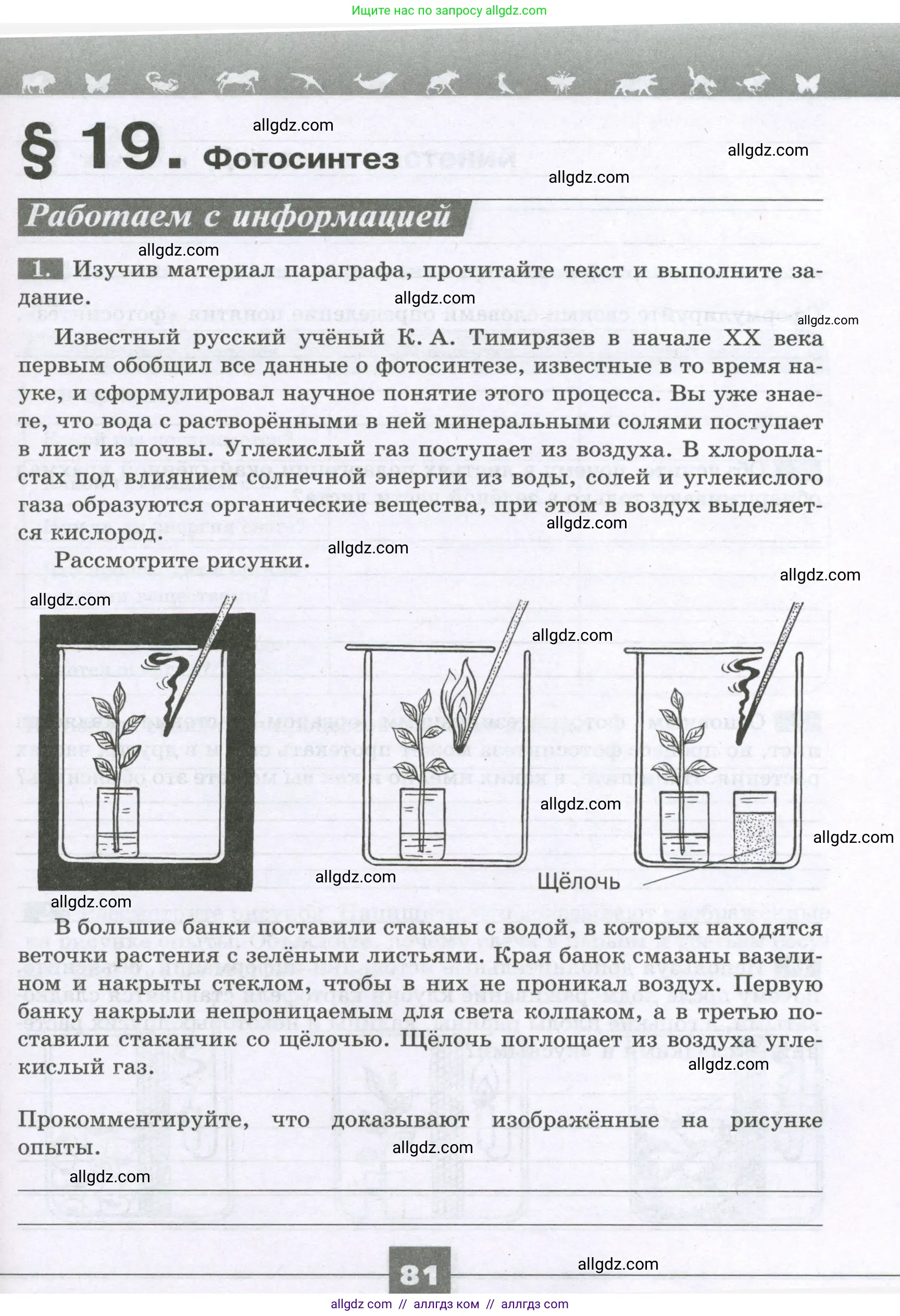 Биология, 6 класс рабочая тетрадь, авторы: Пасечник Владимир Васильевич, Суматохин Сергей Витальевич, Швецов Глеб Геннадьевич, Гапонюк Зоя Георгиевна, Косарькова Марина Викторовна, издательство Просвещение, Москва, 2023, белого цвета, страница 81