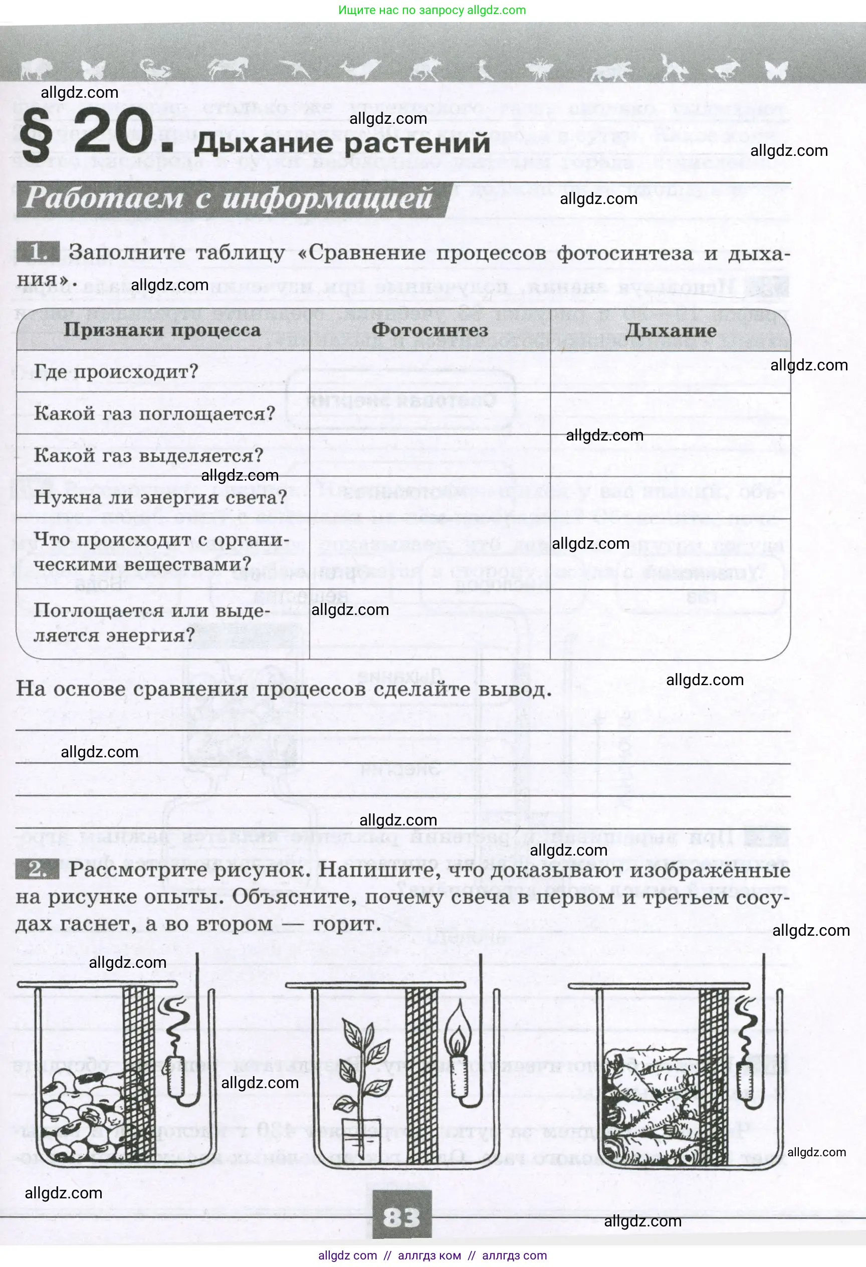 Биология, 6 класс рабочая тетрадь, авторы: Пасечник Владимир Васильевич, Суматохин Сергей Витальевич, Швецов Глеб Геннадьевич, Гапонюк Зоя Георгиевна, Косарькова Марина Викторовна, издательство Просвещение, Москва, 2023, белого цвета, страница 83