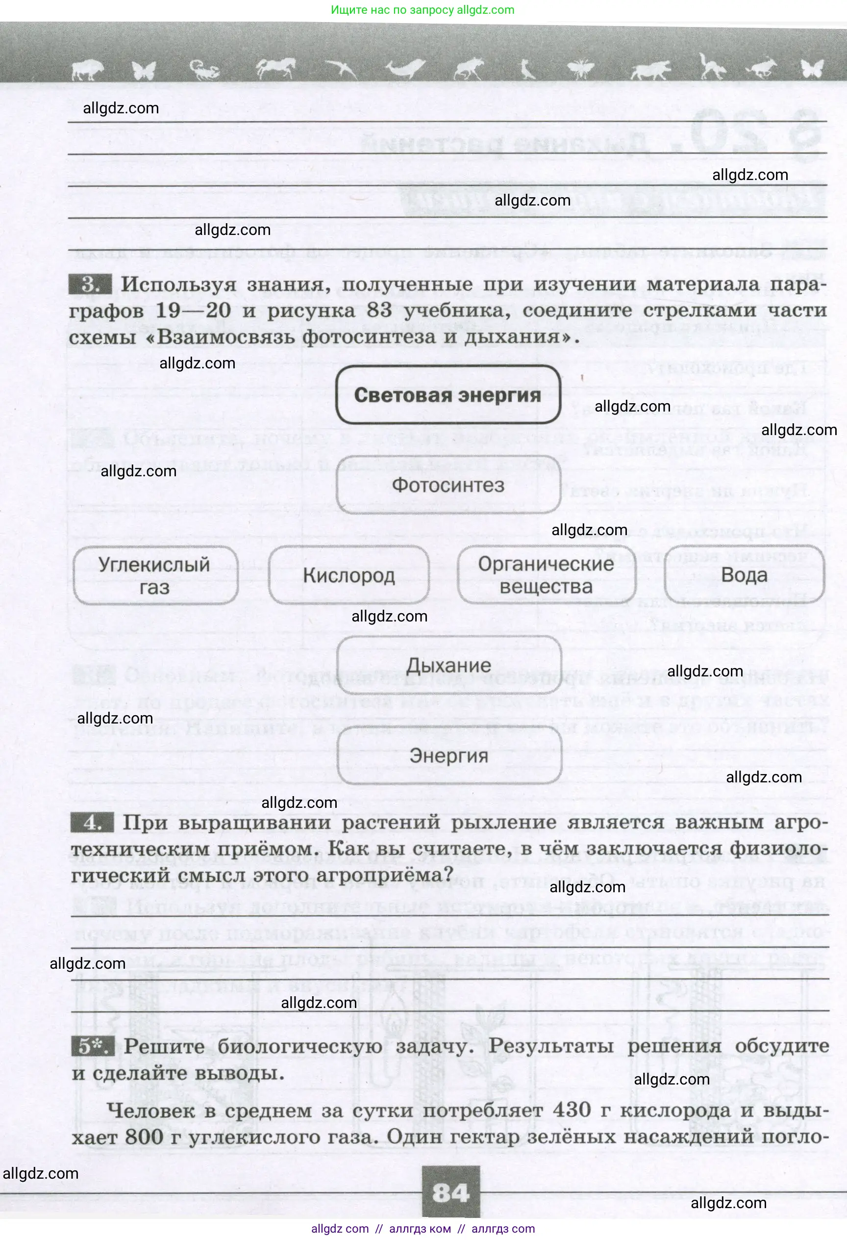 Биология, 6 класс рабочая тетрадь, авторы: Пасечник Владимир Васильевич, Суматохин Сергей Витальевич, Швецов Глеб Геннадьевич, Гапонюк Зоя Георгиевна, Косарькова Марина Викторовна, издательство Просвещение, Москва, 2023, белого цвета, страница 84