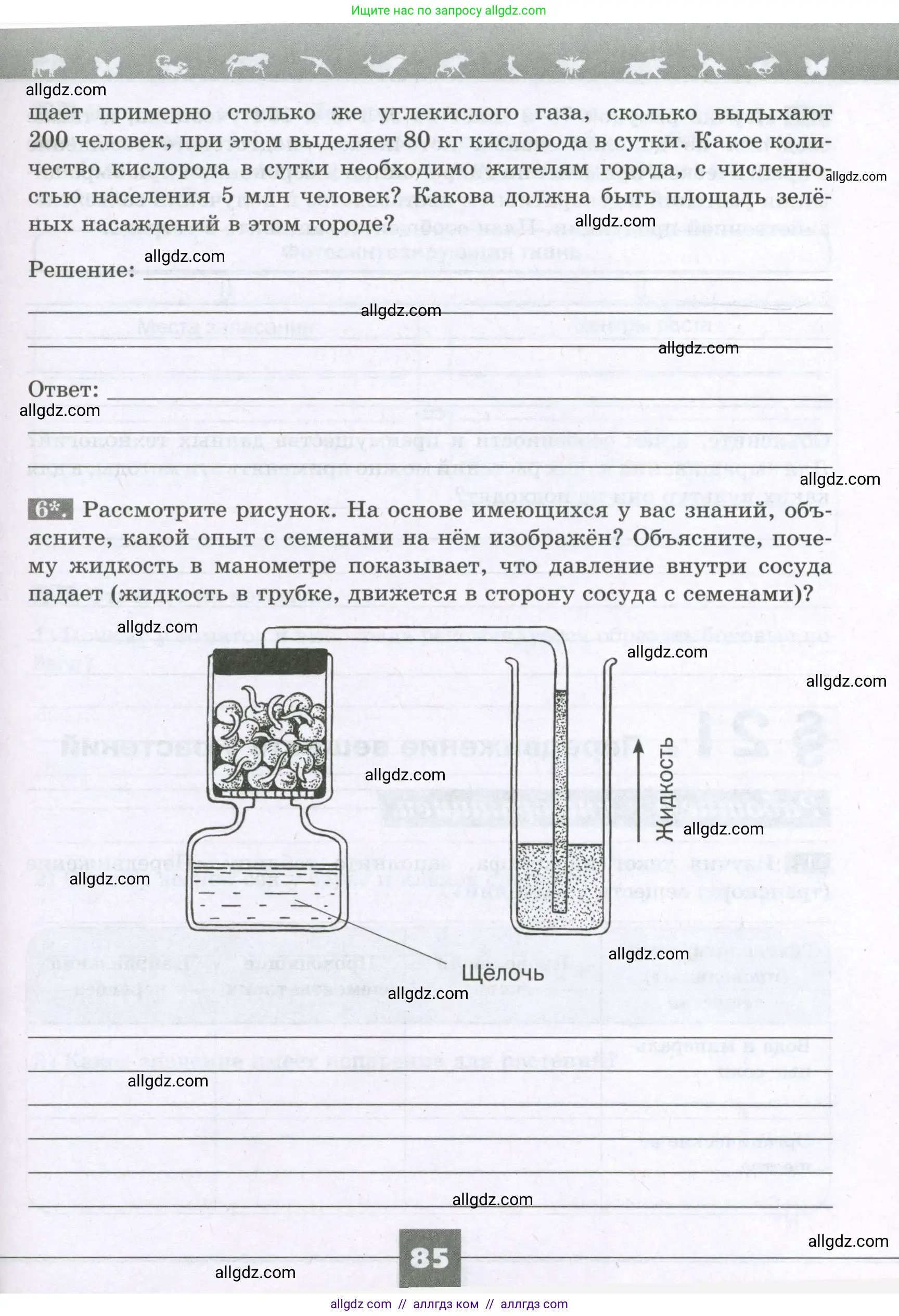 Биология, 6 класс рабочая тетрадь, авторы: Пасечник Владимир Васильевич, Суматохин Сергей Витальевич, Швецов Глеб Геннадьевич, Гапонюк Зоя Георгиевна, Косарькова Марина Викторовна, издательство Просвещение, Москва, 2023, белого цвета, страница 85