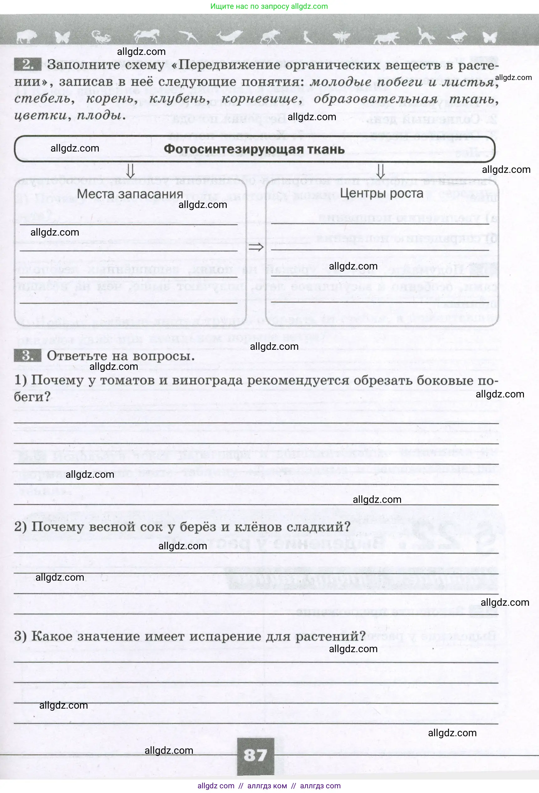 Биология, 6 класс рабочая тетрадь, авторы: Пасечник Владимир Васильевич, Суматохин Сергей Витальевич, Швецов Глеб Геннадьевич, Гапонюк Зоя Георгиевна, Косарькова Марина Викторовна, издательство Просвещение, Москва, 2023, белого цвета, страница 87