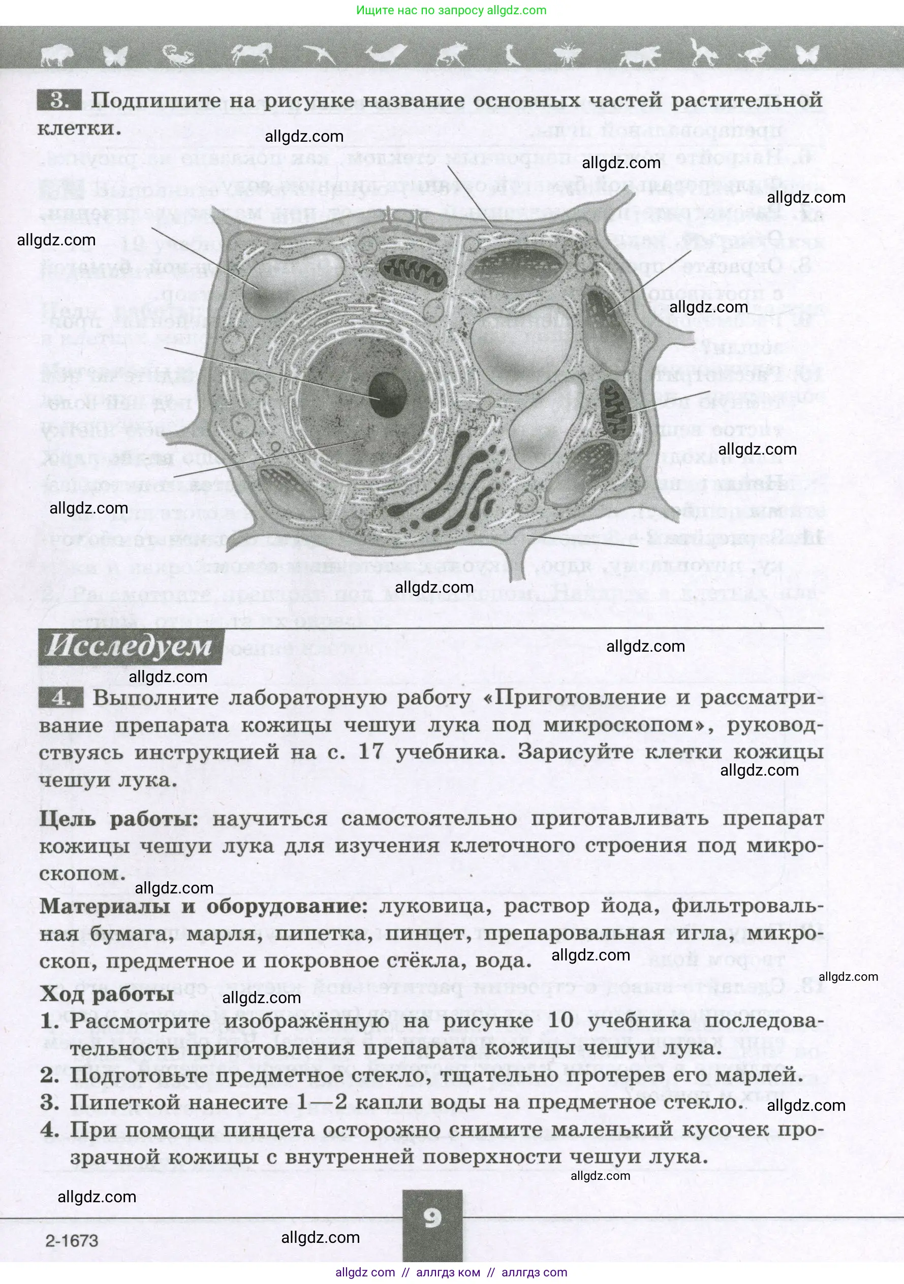 Биология, 6 класс рабочая тетрадь, авторы: Пасечник Владимир Васильевич, Суматохин Сергей Витальевич, Швецов Глеб Геннадьевич, Гапонюк Зоя Георгиевна, Косарькова Марина Викторовна, издательство Просвещение, Москва, 2023, белого цвета, страница 9