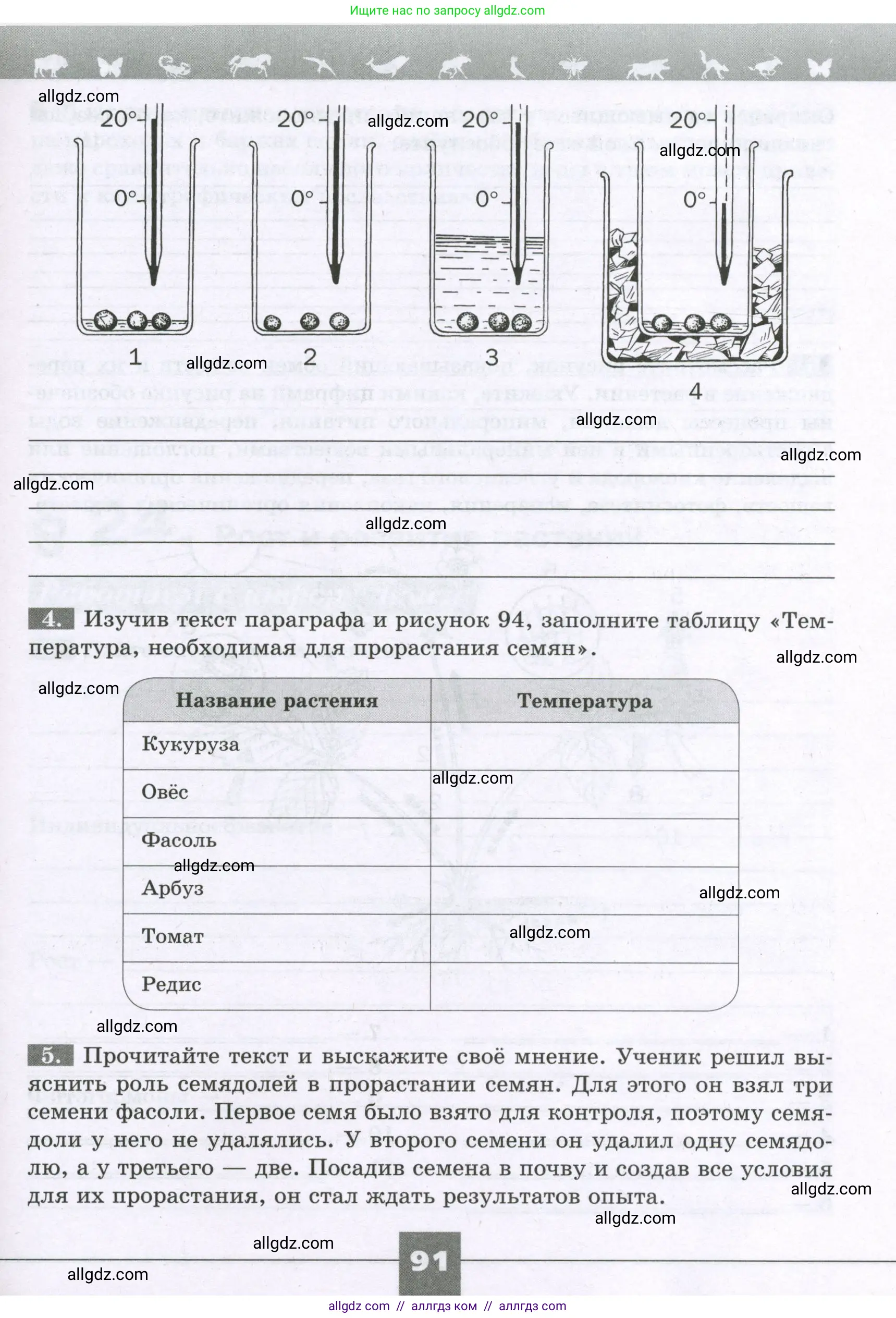 Биология, 6 класс рабочая тетрадь, авторы: Пасечник Владимир Васильевич, Суматохин Сергей Витальевич, Швецов Глеб Геннадьевич, Гапонюк Зоя Георгиевна, Косарькова Марина Викторовна, издательство Просвещение, Москва, 2023, белого цвета, страница 91