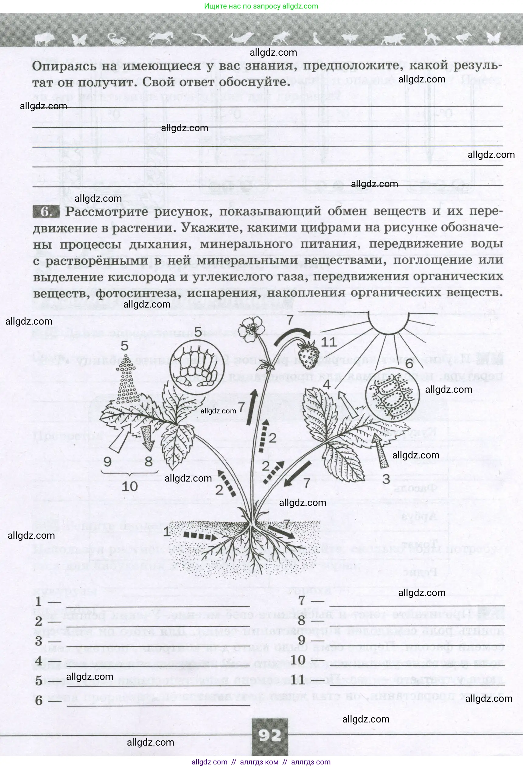 Биология, 6 класс рабочая тетрадь, авторы: Пасечник Владимир Васильевич, Суматохин Сергей Витальевич, Швецов Глеб Геннадьевич, Гапонюк Зоя Георгиевна, Косарькова Марина Викторовна, издательство Просвещение, Москва, 2023, белого цвета, страница 92