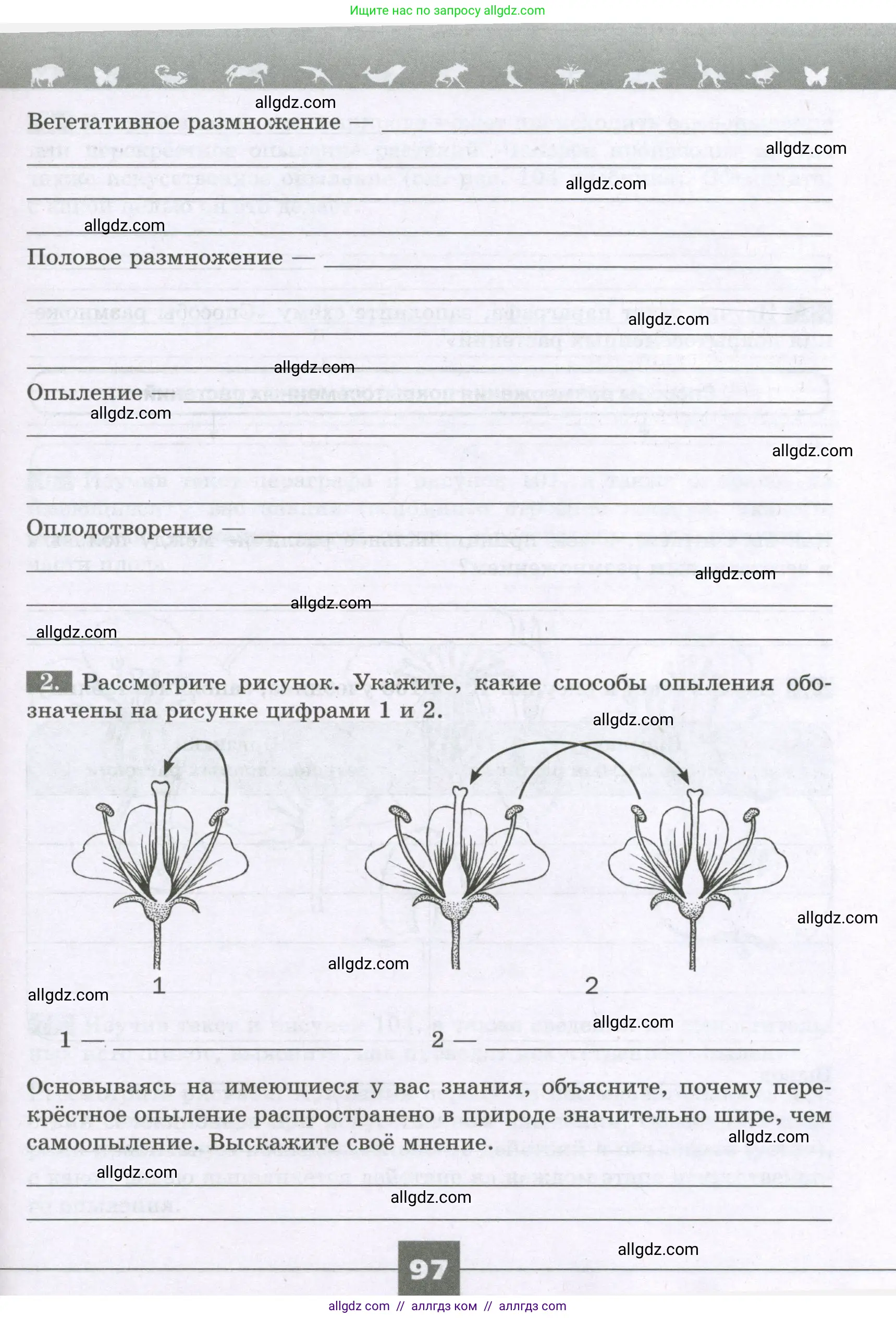 Биология, 6 класс рабочая тетрадь, авторы: Пасечник Владимир Васильевич, Суматохин Сергей Витальевич, Швецов Глеб Геннадьевич, Гапонюк Зоя Георгиевна, Косарькова Марина Викторовна, издательство Просвещение, Москва, 2023, белого цвета, страница 97