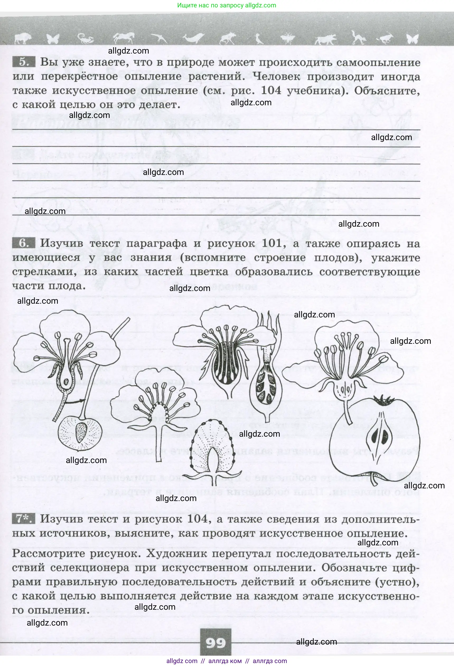 Биология, 6 класс рабочая тетрадь, авторы: Пасечник Владимир Васильевич, Суматохин Сергей Витальевич, Швецов Глеб Геннадьевич, Гапонюк Зоя Георгиевна, Косарькова Марина Викторовна, издательство Просвещение, Москва, 2023, белого цвета, страница 99