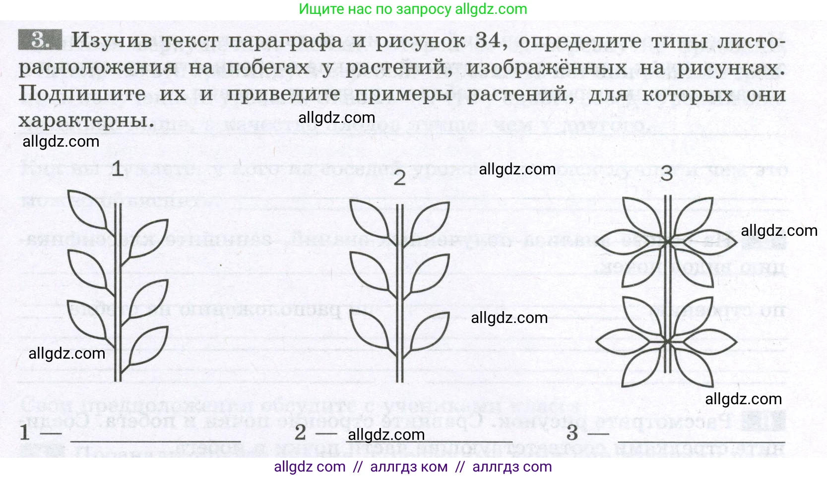Биология, 6 класс рабочая тетрадь, авторы: Пасечник Владимир Васильевич, Суматохин Сергей Витальевич, Швецов Глеб Геннадьевич, Гапонюк Зоя Георгиевна, Косарькова Марина Викторовна, издательство Просвещение, Москва, 2023, белого цвета, страница 43, номер 3, Условие