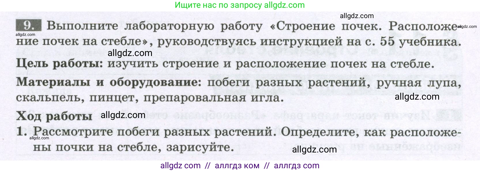Биология, 6 класс рабочая тетрадь, авторы: Пасечник Владимир Васильевич, Суматохин Сергей Витальевич, Швецов Глеб Геннадьевич, Гапонюк Зоя Георгиевна, Косарькова Марина Викторовна, издательство Просвещение, Москва, 2023, белого цвета, страница 45, номер 9, Условие