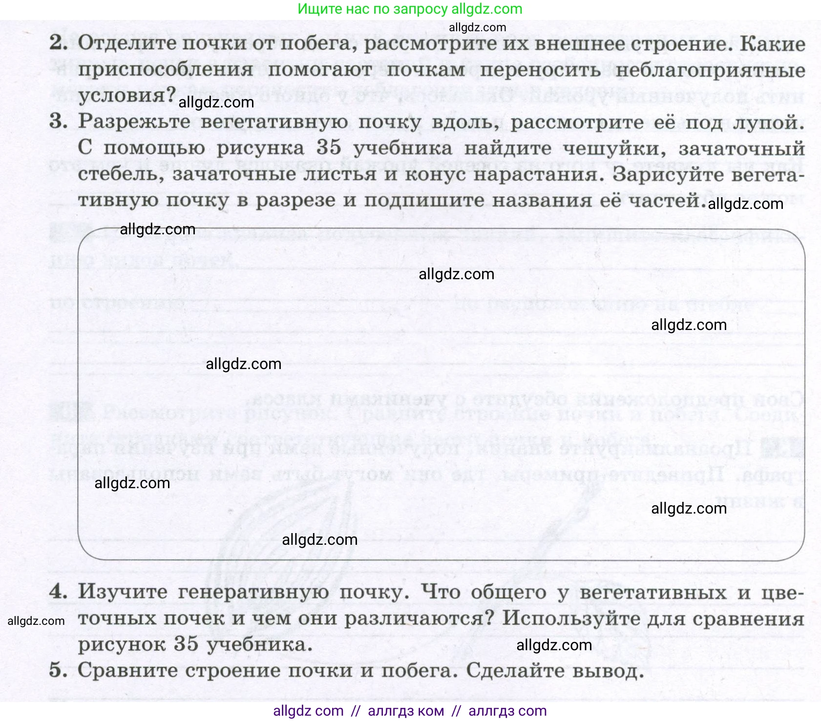 Биология, 6 класс рабочая тетрадь, авторы: Пасечник Владимир Васильевич, Суматохин Сергей Витальевич, Швецов Глеб Геннадьевич, Гапонюк Зоя Георгиевна, Косарькова Марина Викторовна, издательство Просвещение, Москва, 2023, белого цвета, страница 45, номер 9, Условие (продолжение 2)
