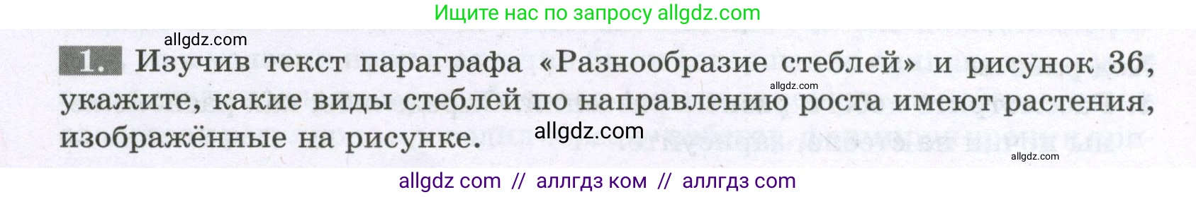 Биология, 6 класс рабочая тетрадь, авторы: Пасечник Владимир Васильевич, Суматохин Сергей Витальевич, Швецов Глеб Геннадьевич, Гапонюк Зоя Георгиевна, Косарькова Марина Викторовна, издательство Просвещение, Москва, 2023, белого цвета, страница 46, номер 1, Условие