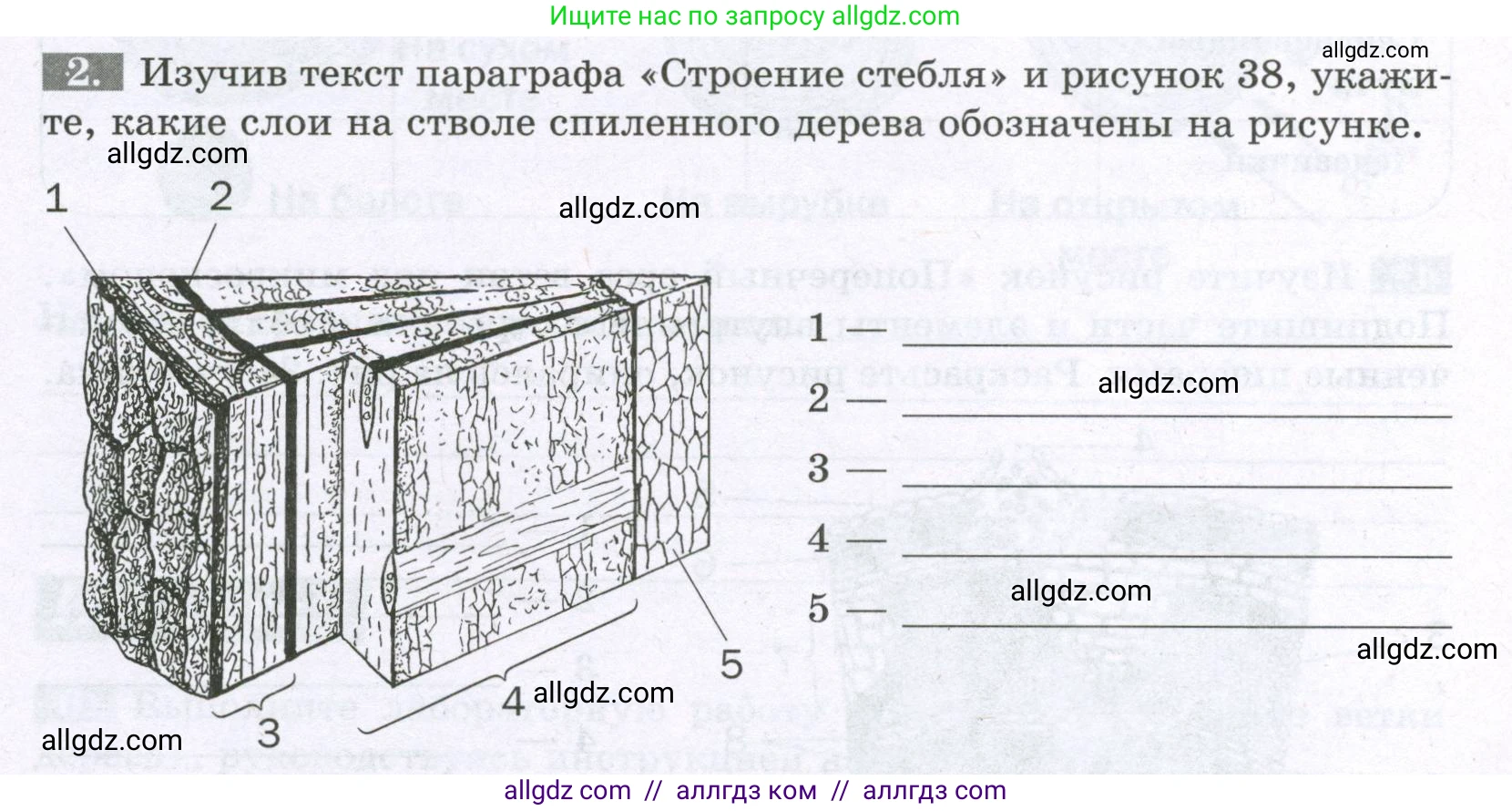 Биология, 6 класс рабочая тетрадь, авторы: Пасечник Владимир Васильевич, Суматохин Сергей Витальевич, Швецов Глеб Геннадьевич, Гапонюк Зоя Георгиевна, Косарькова Марина Викторовна, издательство Просвещение, Москва, 2023, белого цвета, страница 47, номер 2, Условие