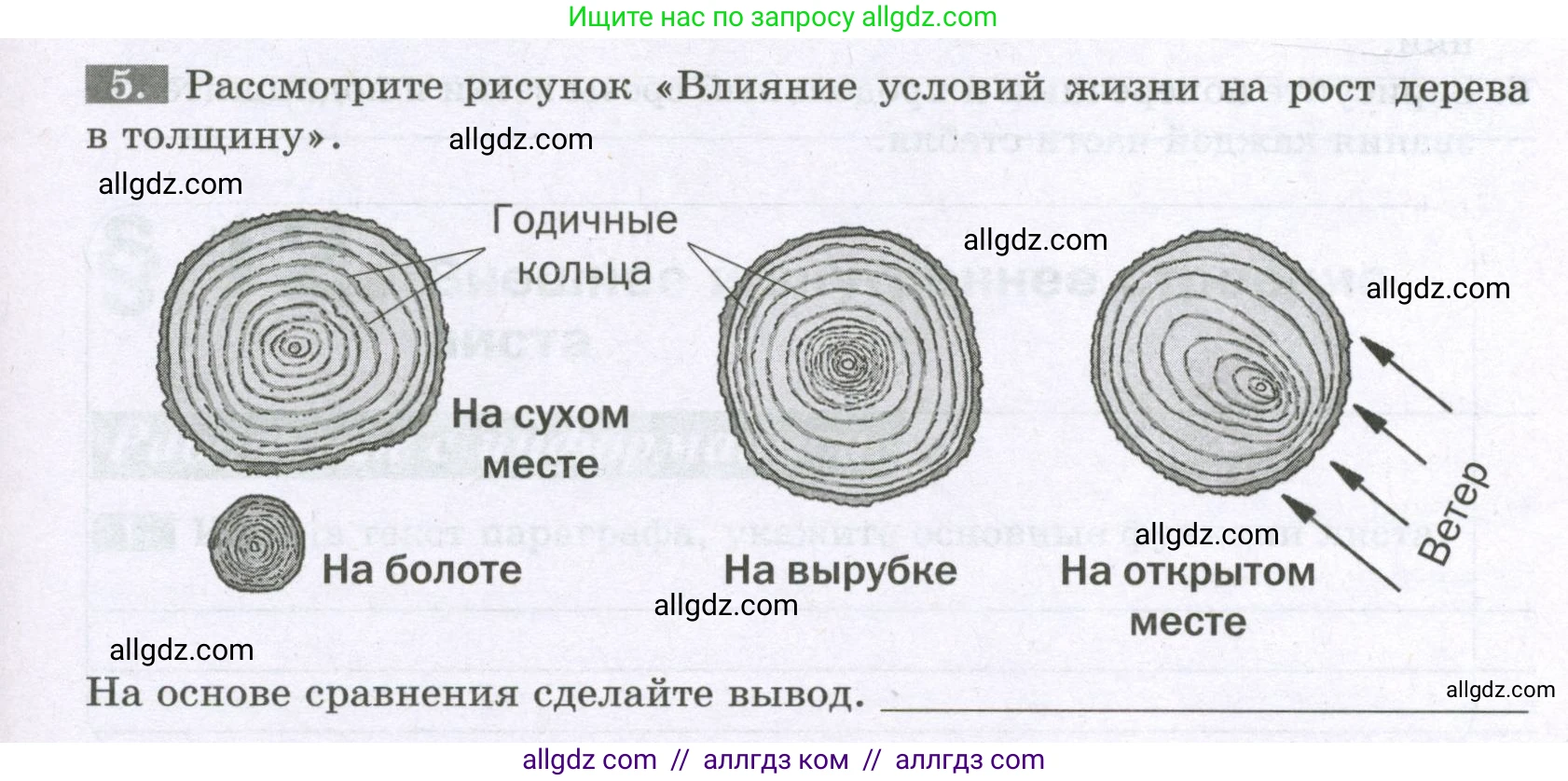 Биология, 6 класс рабочая тетрадь, авторы: Пасечник Владимир Васильевич, Суматохин Сергей Витальевич, Швецов Глеб Геннадьевич, Гапонюк Зоя Георгиевна, Косарькова Марина Викторовна, издательство Просвещение, Москва, 2023, белого цвета, страница 49, номер 5, Условие