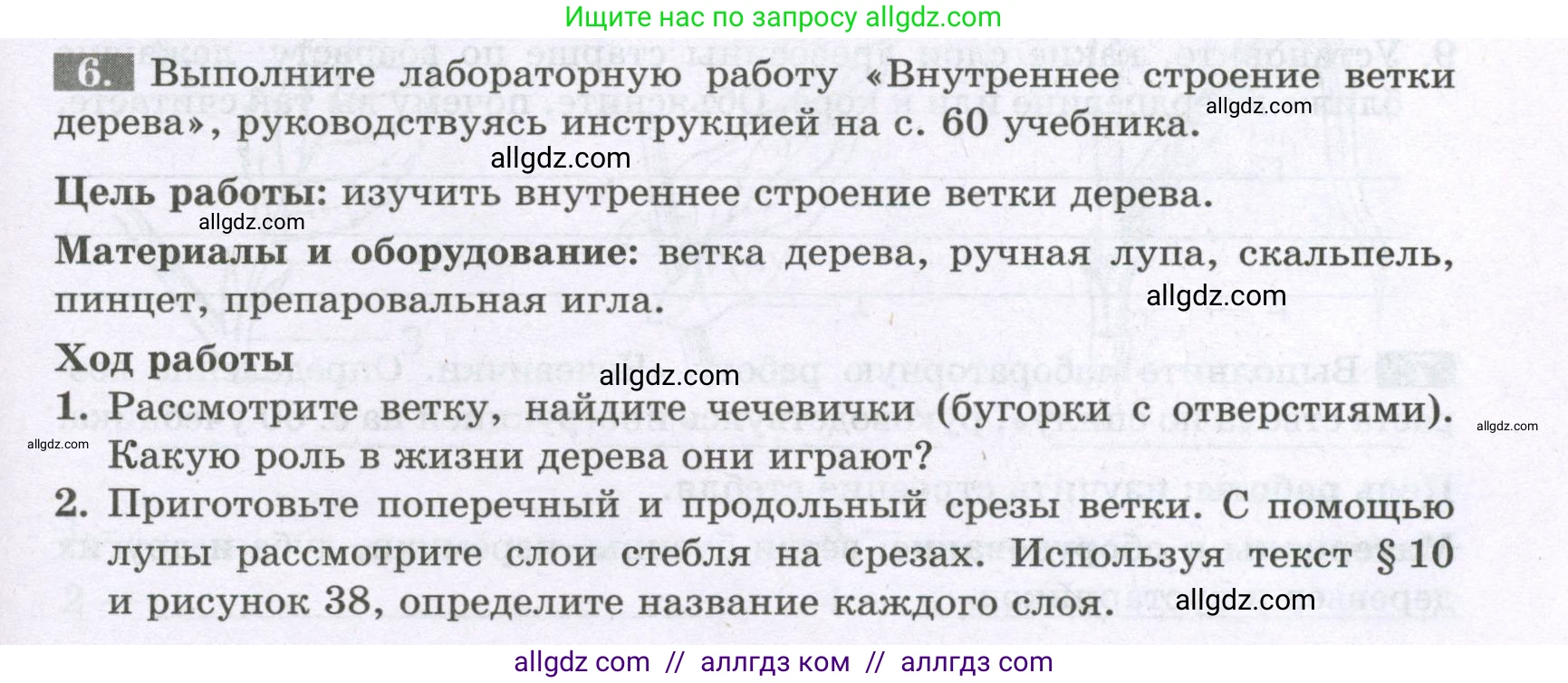 Биология, 6 класс рабочая тетрадь, авторы: Пасечник Владимир Васильевич, Суматохин Сергей Витальевич, Швецов Глеб Геннадьевич, Гапонюк Зоя Георгиевна, Косарькова Марина Викторовна, издательство Просвещение, Москва, 2023, белого цвета, страница 49, номер 6, Условие