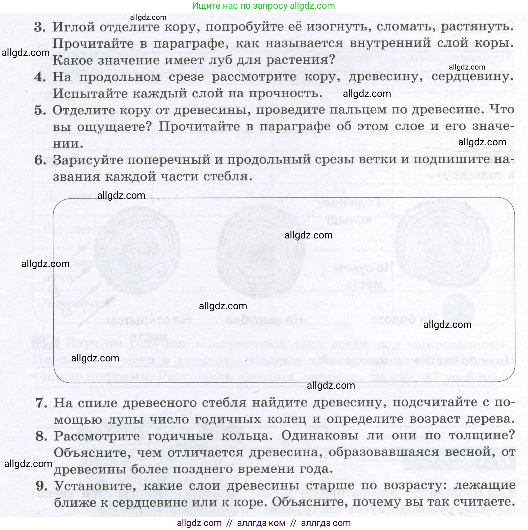 Биология, 6 класс рабочая тетрадь, авторы: Пасечник Владимир Васильевич, Суматохин Сергей Витальевич, Швецов Глеб Геннадьевич, Гапонюк Зоя Георгиевна, Косарькова Марина Викторовна, издательство Просвещение, Москва, 2023, белого цвета, страница 49, номер 6, Условие (продолжение 2)