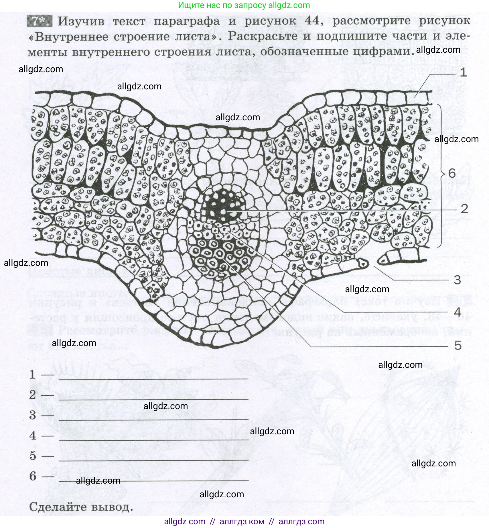Биология, 6 класс рабочая тетрадь, авторы: Пасечник Владимир Васильевич, Суматохин Сергей Витальевич, Швецов Глеб Геннадьевич, Гапонюк Зоя Георгиевна, Косарькова Марина Викторовна, издательство Просвещение, Москва, 2023, белого цвета, страница 54, номер 7, Условие