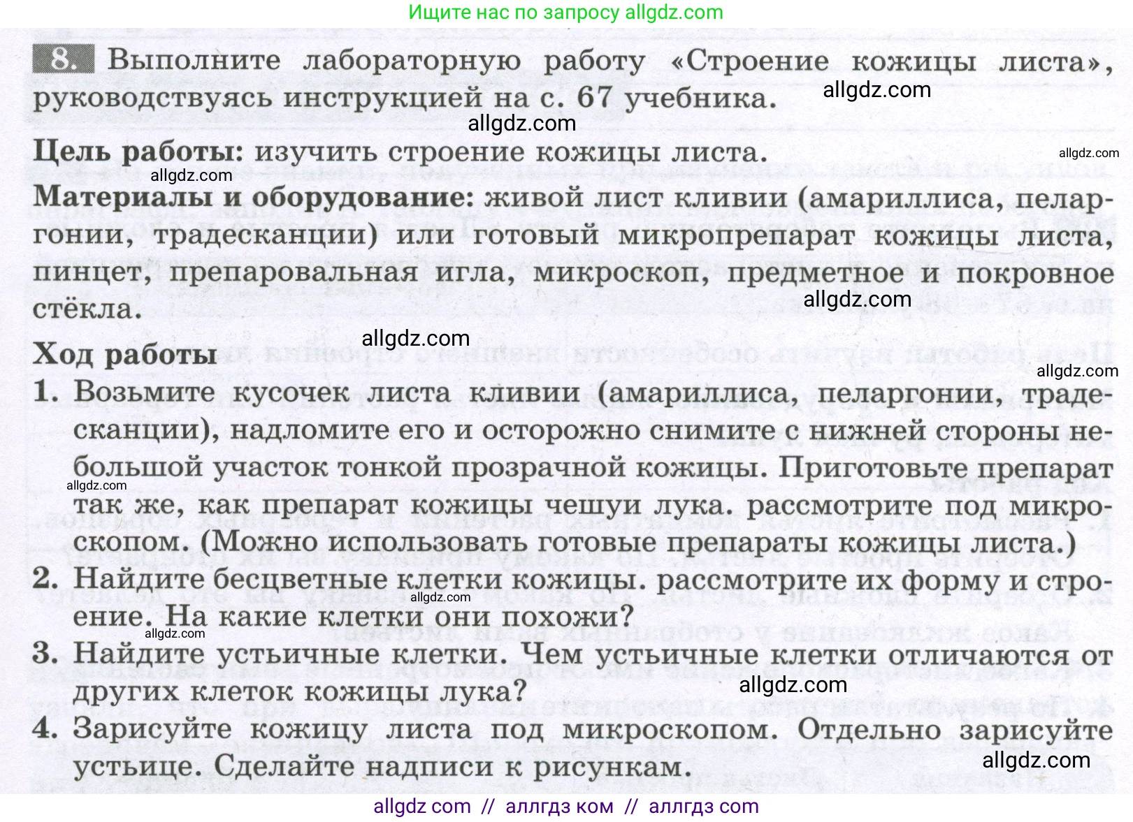 Биология, 6 класс рабочая тетрадь, авторы: Пасечник Владимир Васильевич, Суматохин Сергей Витальевич, Швецов Глеб Геннадьевич, Гапонюк Зоя Георгиевна, Косарькова Марина Викторовна, издательство Просвещение, Москва, 2023, белого цвета, страница 55, номер 8, Условие