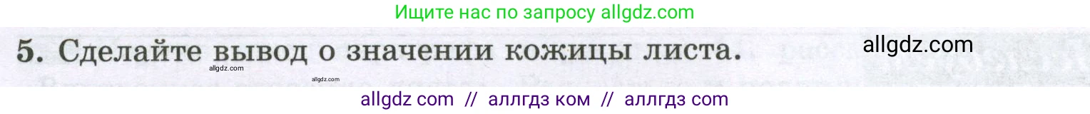 Биология, 6 класс рабочая тетрадь, авторы: Пасечник Владимир Васильевич, Суматохин Сергей Витальевич, Швецов Глеб Геннадьевич, Гапонюк Зоя Георгиевна, Косарькова Марина Викторовна, издательство Просвещение, Москва, 2023, белого цвета, страница 55, номер 8, Условие (продолжение 2)