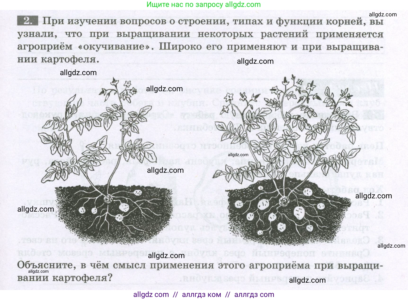 Биология, 6 класс рабочая тетрадь, авторы: Пасечник Владимир Васильевич, Суматохин Сергей Витальевич, Швецов Глеб Геннадьевич, Гапонюк Зоя Георгиевна, Косарькова Марина Викторовна, издательство Просвещение, Москва, 2023, белого цвета, страница 57, номер 2, Условие