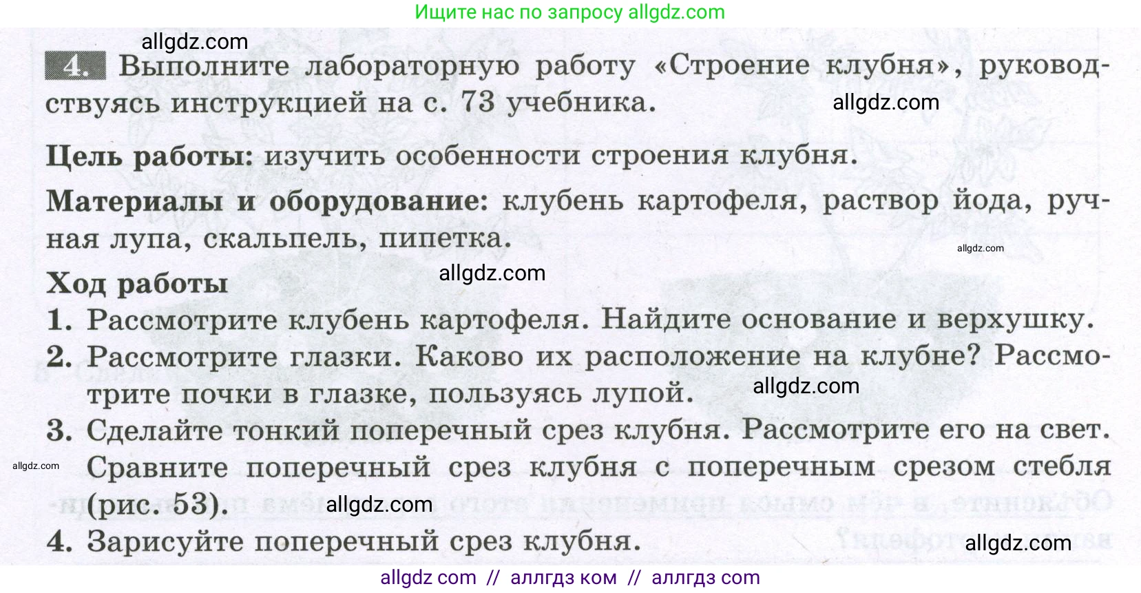 Биология, 6 класс рабочая тетрадь, авторы: Пасечник Владимир Васильевич, Суматохин Сергей Витальевич, Швецов Глеб Геннадьевич, Гапонюк Зоя Георгиевна, Косарькова Марина Викторовна, издательство Просвещение, Москва, 2023, белого цвета, страница 58, номер 4, Условие