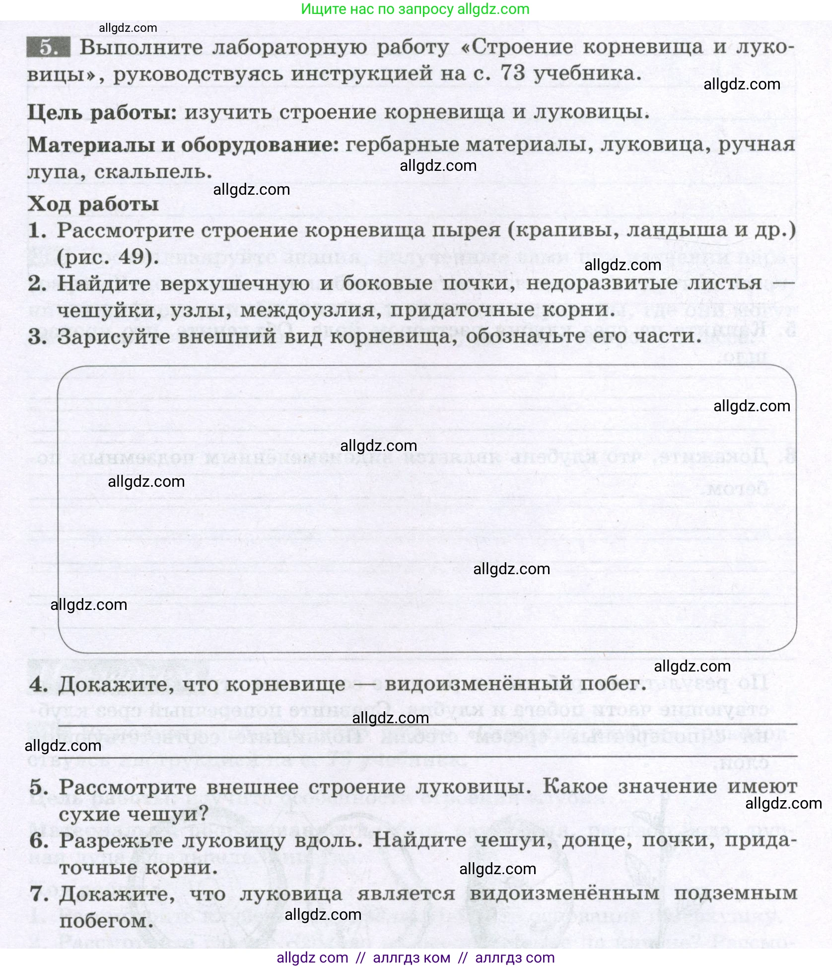 Биология, 6 класс рабочая тетрадь, авторы: Пасечник Владимир Васильевич, Суматохин Сергей Витальевич, Швецов Глеб Геннадьевич, Гапонюк Зоя Георгиевна, Косарькова Марина Викторовна, издательство Просвещение, Москва, 2023, белого цвета, страница 60, номер 5, Условие
