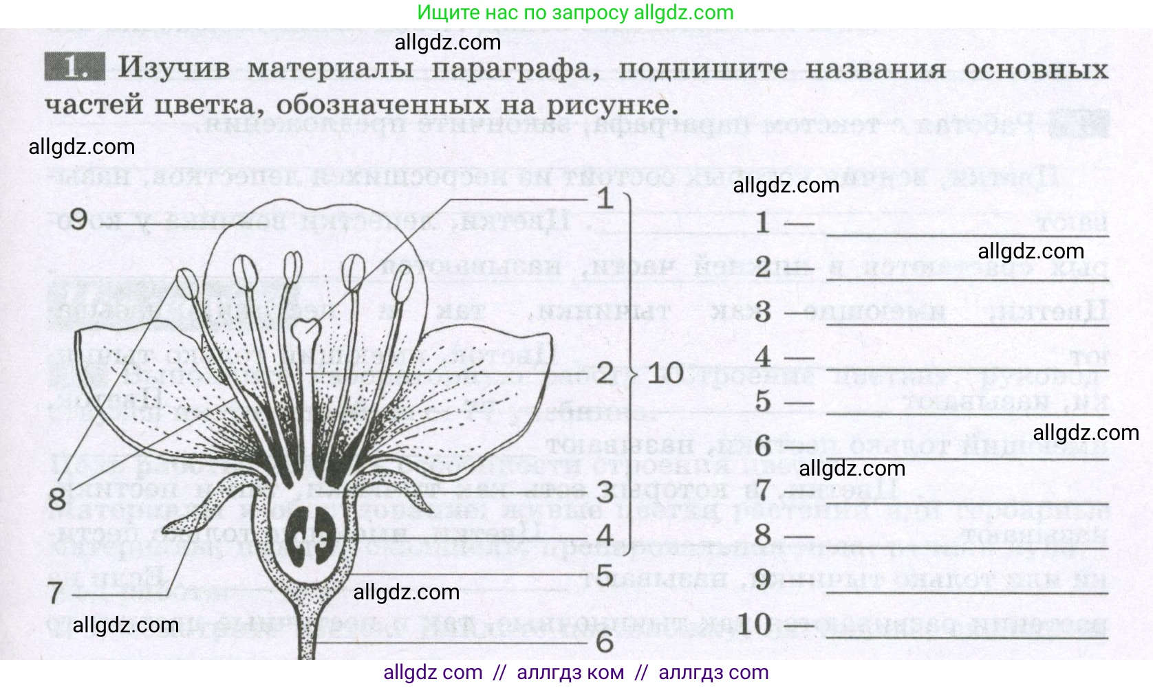 Биология, 6 класс рабочая тетрадь, авторы: Пасечник Владимир Васильевич, Суматохин Сергей Витальевич, Швецов Глеб Геннадьевич, Гапонюк Зоя Георгиевна, Косарькова Марина Викторовна, издательство Просвещение, Москва, 2023, белого цвета, страница 61, номер 1, Условие