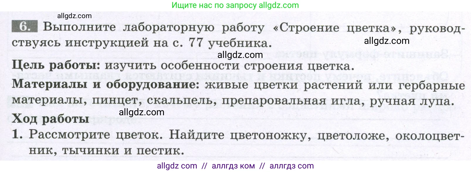 Биология, 6 класс рабочая тетрадь, авторы: Пасечник Владимир Васильевич, Суматохин Сергей Витальевич, Швецов Глеб Геннадьевич, Гапонюк Зоя Георгиевна, Косарькова Марина Викторовна, издательство Просвещение, Москва, 2023, белого цвета, страница 63, номер 6, Условие