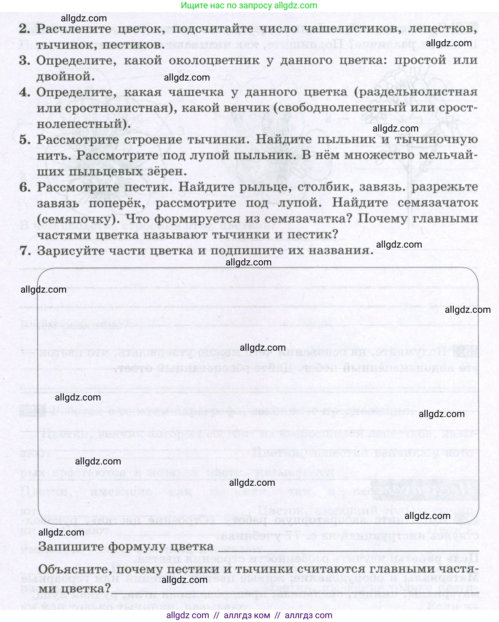 Биология, 6 класс рабочая тетрадь, авторы: Пасечник Владимир Васильевич, Суматохин Сергей Витальевич, Швецов Глеб Геннадьевич, Гапонюк Зоя Георгиевна, Косарькова Марина Викторовна, издательство Просвещение, Москва, 2023, белого цвета, страница 63, номер 6, Условие (продолжение 2)