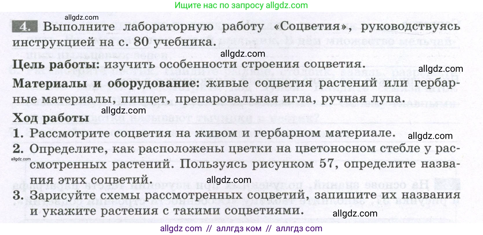 Биология, 6 класс рабочая тетрадь, авторы: Пасечник Владимир Васильевич, Суматохин Сергей Витальевич, Швецов Глеб Геннадьевич, Гапонюк Зоя Георгиевна, Косарькова Марина Викторовна, издательство Просвещение, Москва, 2023, белого цвета, страница 66, номер 4, Условие