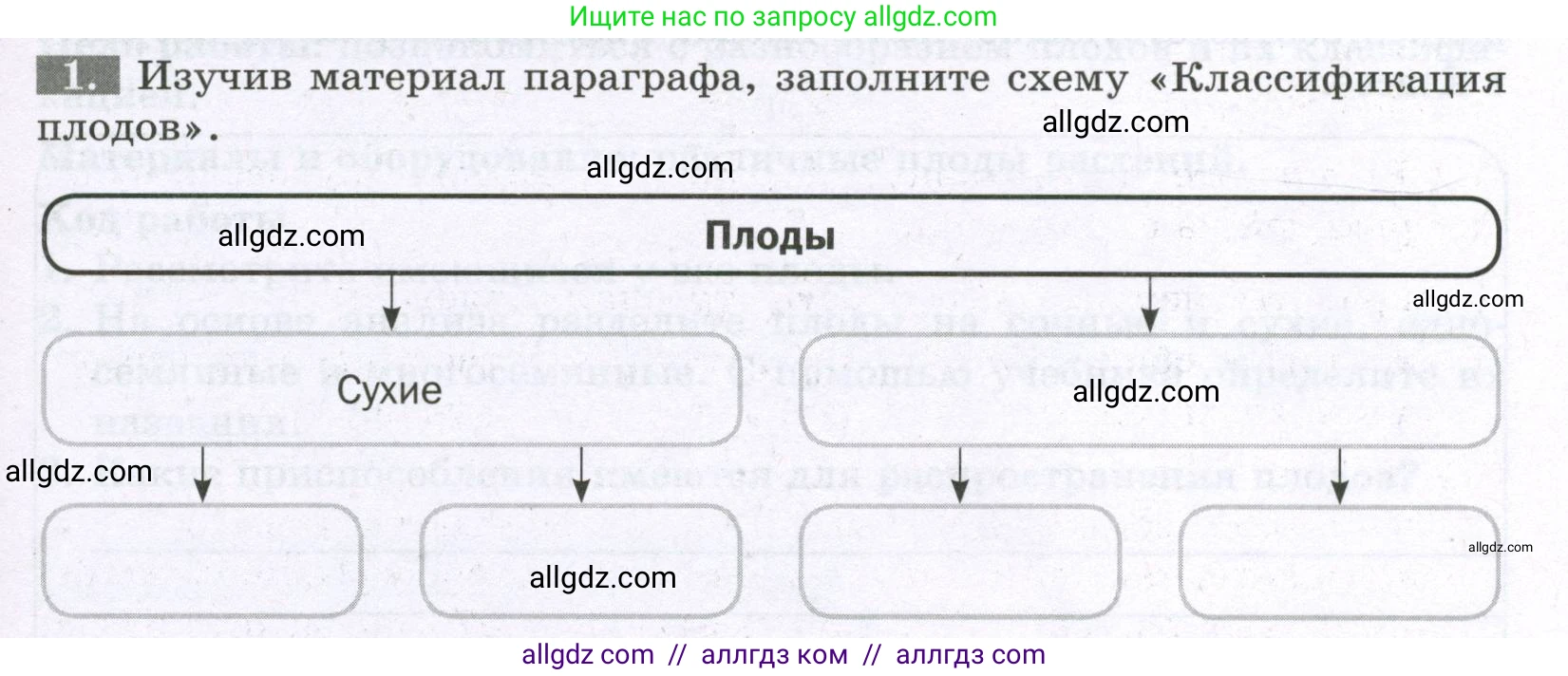 Биология, 6 класс рабочая тетрадь, авторы: Пасечник Владимир Васильевич, Суматохин Сергей Витальевич, Швецов Глеб Геннадьевич, Гапонюк Зоя Георгиевна, Косарькова Марина Викторовна, издательство Просвещение, Москва, 2023, белого цвета, страница 67, номер 1, Условие