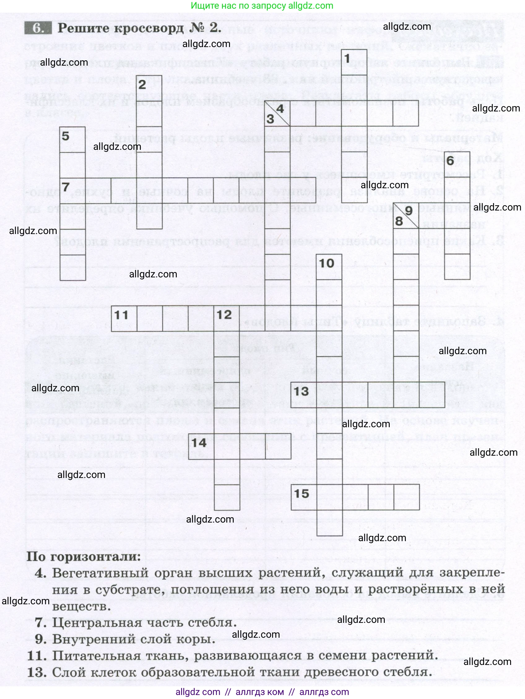 Биология, 6 класс рабочая тетрадь, авторы: Пасечник Владимир Васильевич, Суматохин Сергей Витальевич, Швецов Глеб Геннадьевич, Гапонюк Зоя Георгиевна, Косарькова Марина Викторовна, издательство Просвещение, Москва, 2023, белого цвета, страница 70, номер 6, Условие