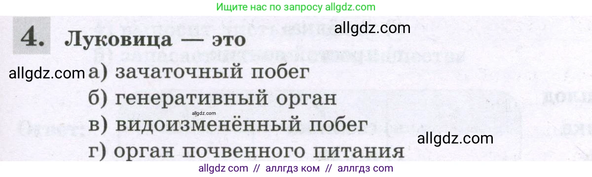 Биология, 6 класс рабочая тетрадь, авторы: Пасечник Владимир Васильевич, Суматохин Сергей Витальевич, Швецов Глеб Геннадьевич, Гапонюк Зоя Георгиевна, Косарькова Марина Викторовна, издательство Просвещение, Москва, 2023, белого цвета, страница 71, номер 4, Условие