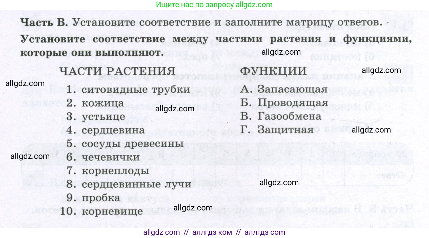 Биология, 6 класс рабочая тетрадь, авторы: Пасечник Владимир Васильевич, Суматохин Сергей Витальевич, Швецов Глеб Геннадьевич, Гапонюк Зоя Георгиевна, Косарькова Марина Викторовна, издательство Просвещение, Москва, 2023, белого цвета, страница 74, номер 1, Условие