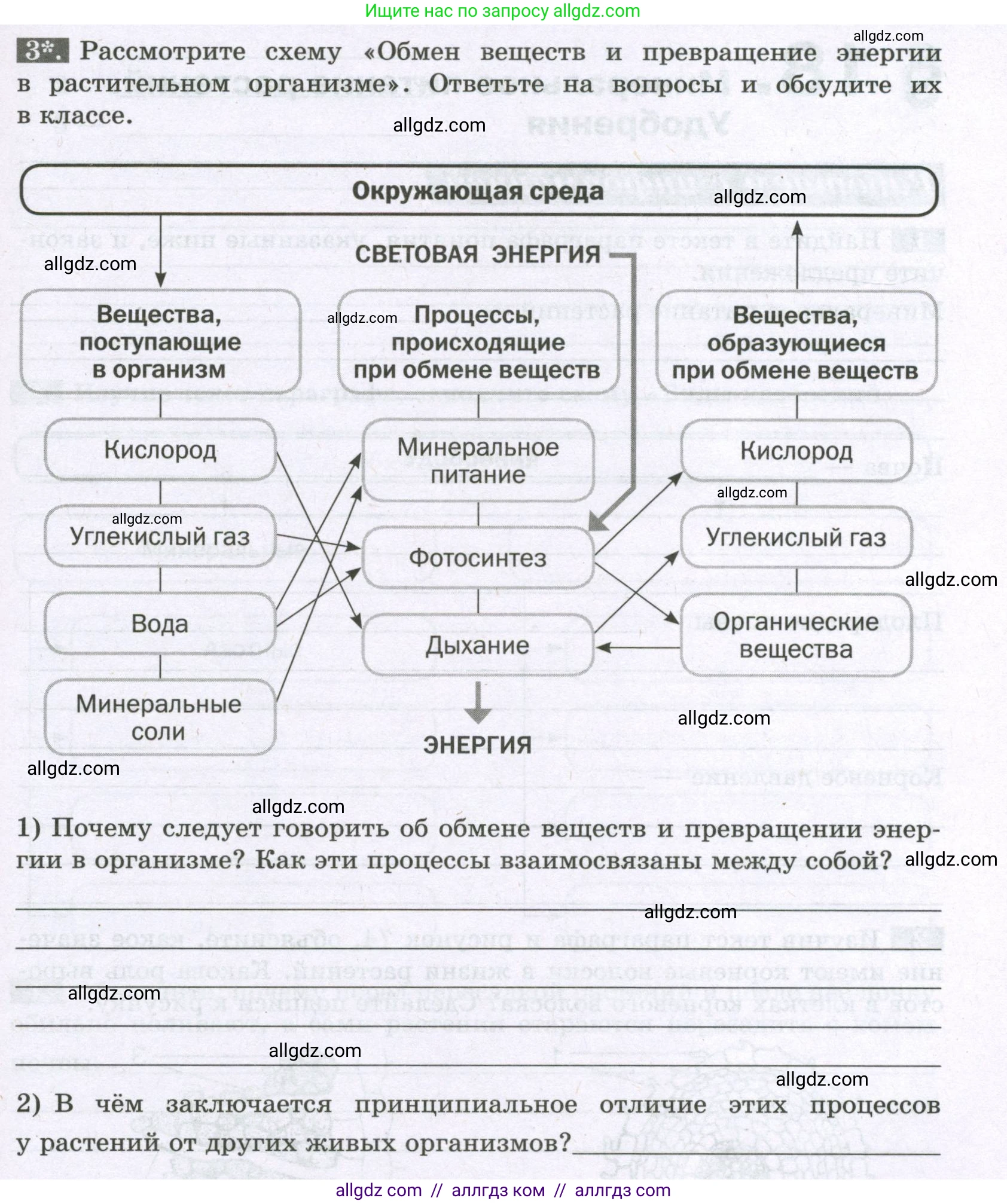 Биология, 6 класс рабочая тетрадь, авторы: Пасечник Владимир Васильевич, Суматохин Сергей Витальевич, Швецов Глеб Геннадьевич, Гапонюк Зоя Георгиевна, Косарькова Марина Викторовна, издательство Просвещение, Москва, 2023, белого цвета, страница 77, номер 3, Условие