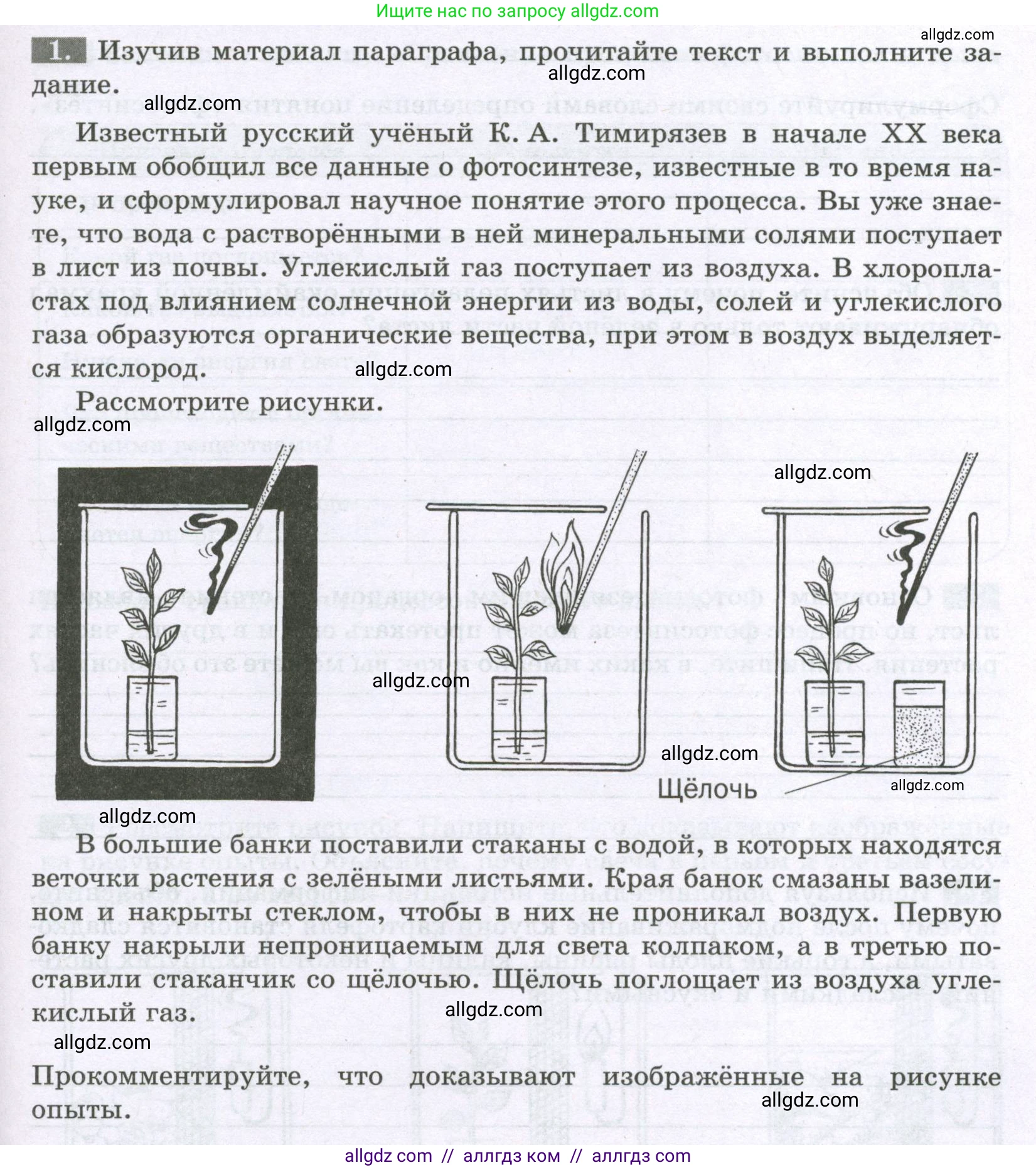 Биология, 6 класс рабочая тетрадь, авторы: Пасечник Владимир Васильевич, Суматохин Сергей Витальевич, Швецов Глеб Геннадьевич, Гапонюк Зоя Георгиевна, Косарькова Марина Викторовна, издательство Просвещение, Москва, 2023, белого цвета, страница 81, номер 1, Условие