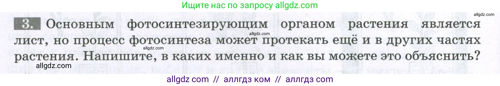 Биология, 6 класс рабочая тетрадь, авторы: Пасечник Владимир Васильевич, Суматохин Сергей Витальевич, Швецов Глеб Геннадьевич, Гапонюк Зоя Георгиевна, Косарькова Марина Викторовна, издательство Просвещение, Москва, 2023, белого цвета, страница 82, номер 3, Условие
