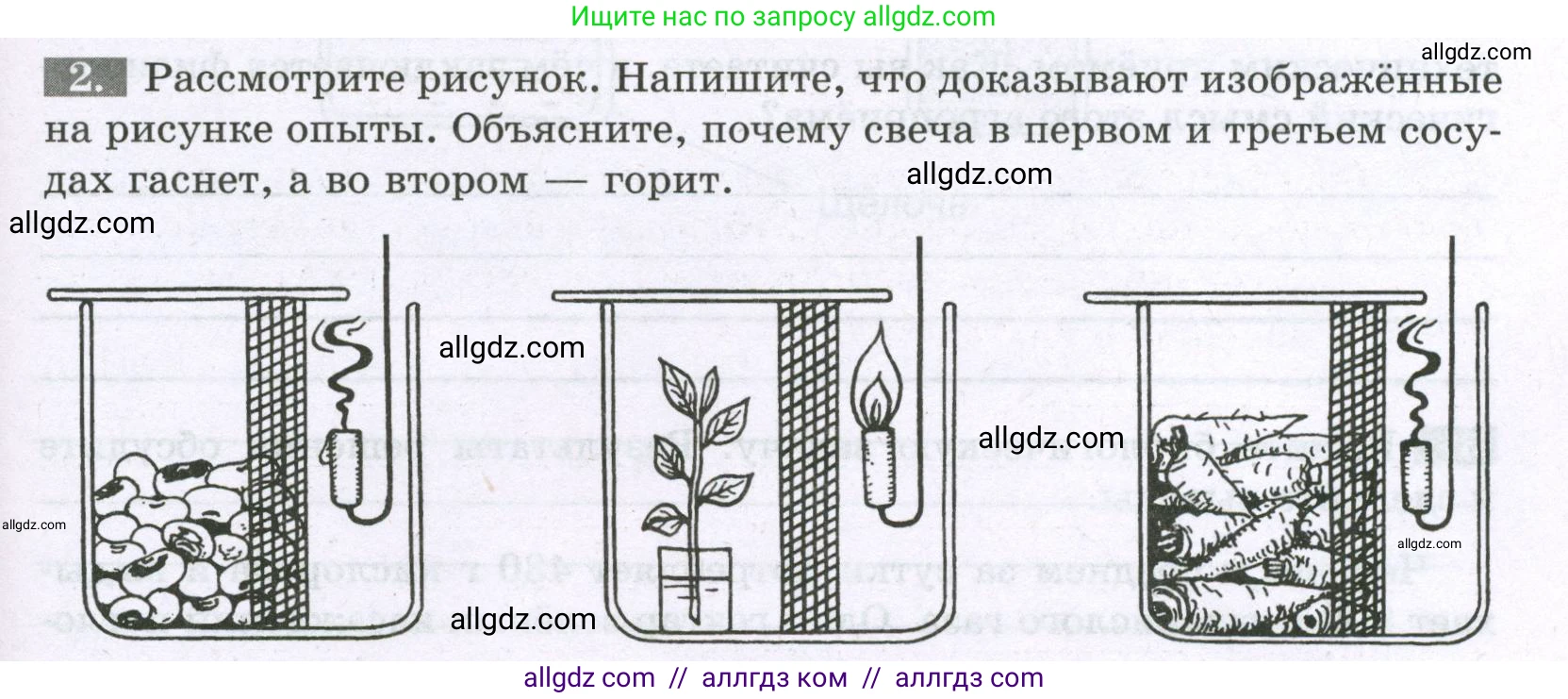 Биология, 6 класс рабочая тетрадь, авторы: Пасечник Владимир Васильевич, Суматохин Сергей Витальевич, Швецов Глеб Геннадьевич, Гапонюк Зоя Георгиевна, Косарькова Марина Викторовна, издательство Просвещение, Москва, 2023, белого цвета, страница 83, номер 2, Условие