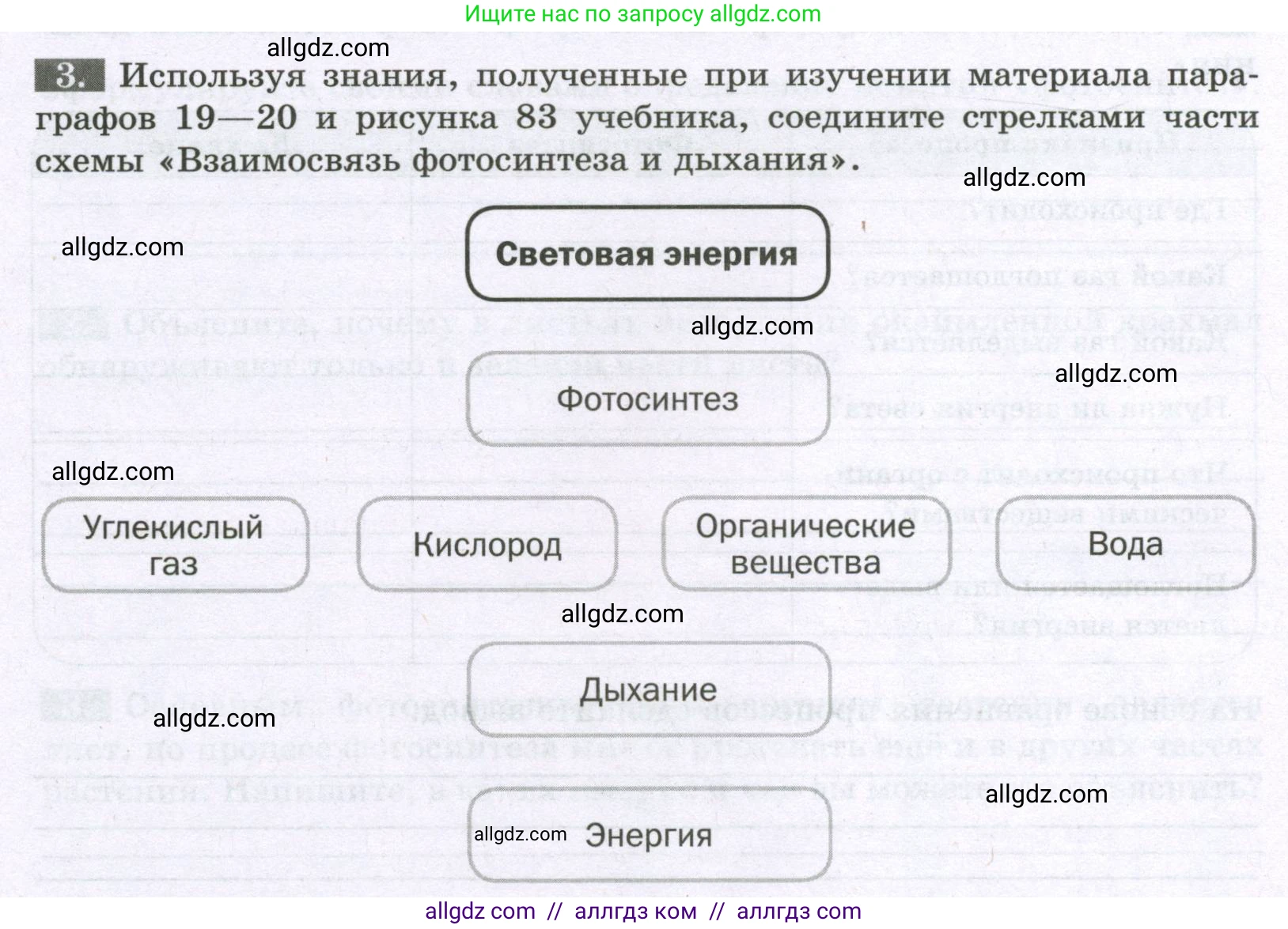 Биология, 6 класс рабочая тетрадь, авторы: Пасечник Владимир Васильевич, Суматохин Сергей Витальевич, Швецов Глеб Геннадьевич, Гапонюк Зоя Георгиевна, Косарькова Марина Викторовна, издательство Просвещение, Москва, 2023, белого цвета, страница 84, номер 3, Условие