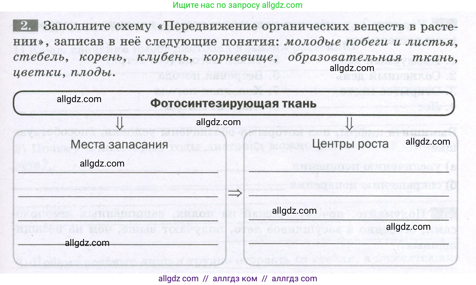 Биология, 6 класс рабочая тетрадь, авторы: Пасечник Владимир Васильевич, Суматохин Сергей Витальевич, Швецов Глеб Геннадьевич, Гапонюк Зоя Георгиевна, Косарькова Марина Викторовна, издательство Просвещение, Москва, 2023, белого цвета, страница 87, номер 2, Условие
