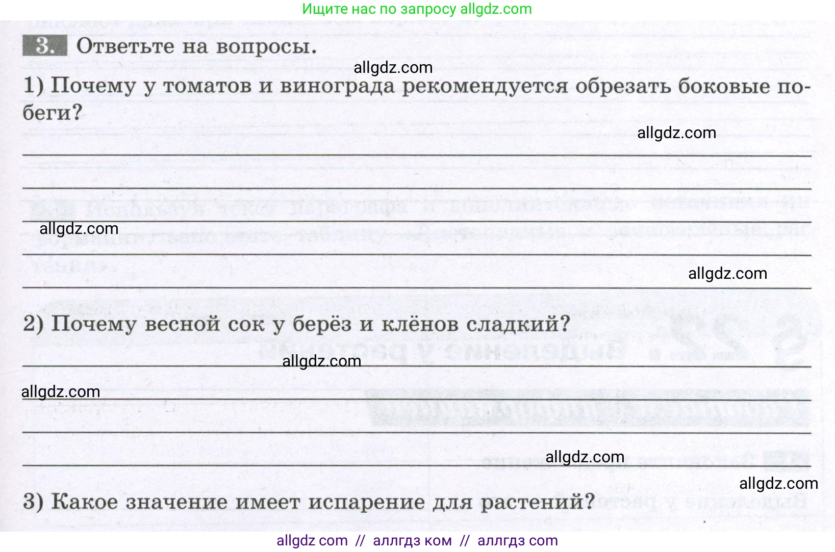 Биология, 6 класс рабочая тетрадь, авторы: Пасечник Владимир Васильевич, Суматохин Сергей Витальевич, Швецов Глеб Геннадьевич, Гапонюк Зоя Георгиевна, Косарькова Марина Викторовна, издательство Просвещение, Москва, 2023, белого цвета, страница 87, номер 3, Условие