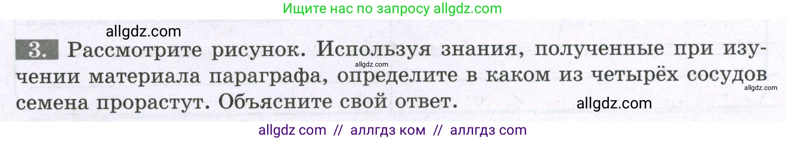 Биология, 6 класс рабочая тетрадь, авторы: Пасечник Владимир Васильевич, Суматохин Сергей Витальевич, Швецов Глеб Геннадьевич, Гапонюк Зоя Георгиевна, Косарькова Марина Викторовна, издательство Просвещение, Москва, 2023, белого цвета, страница 90, номер 3, Условие