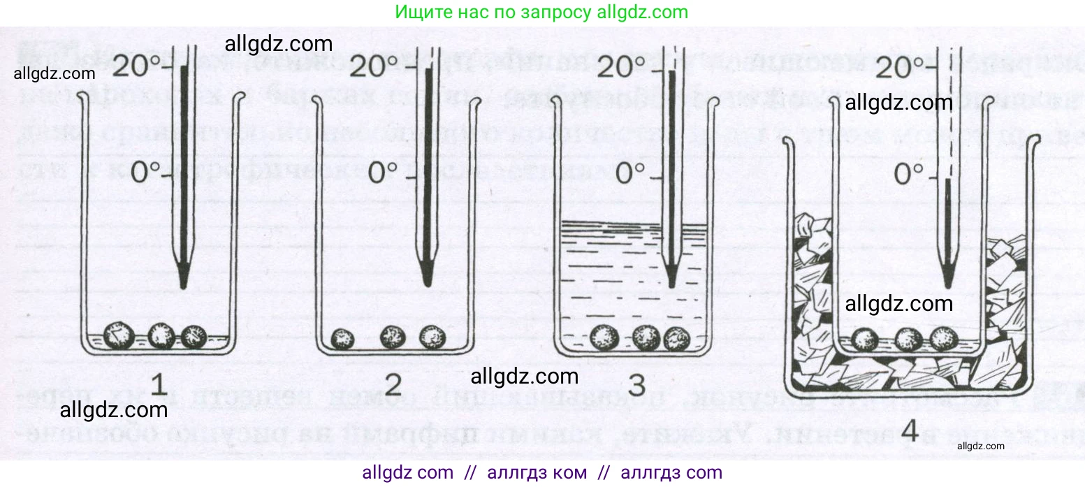 Биология, 6 класс рабочая тетрадь, авторы: Пасечник Владимир Васильевич, Суматохин Сергей Витальевич, Швецов Глеб Геннадьевич, Гапонюк Зоя Георгиевна, Косарькова Марина Викторовна, издательство Просвещение, Москва, 2023, белого цвета, страница 90, номер 3, Условие (продолжение 2)