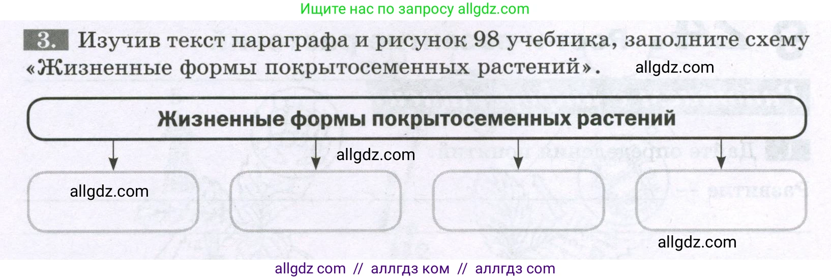 Биология, 6 класс рабочая тетрадь, авторы: Пасечник Владимир Васильевич, Суматохин Сергей Витальевич, Швецов Глеб Геннадьевич, Гапонюк Зоя Георгиевна, Косарькова Марина Викторовна, издательство Просвещение, Москва, 2023, белого цвета, страница 94, номер 3, Условие