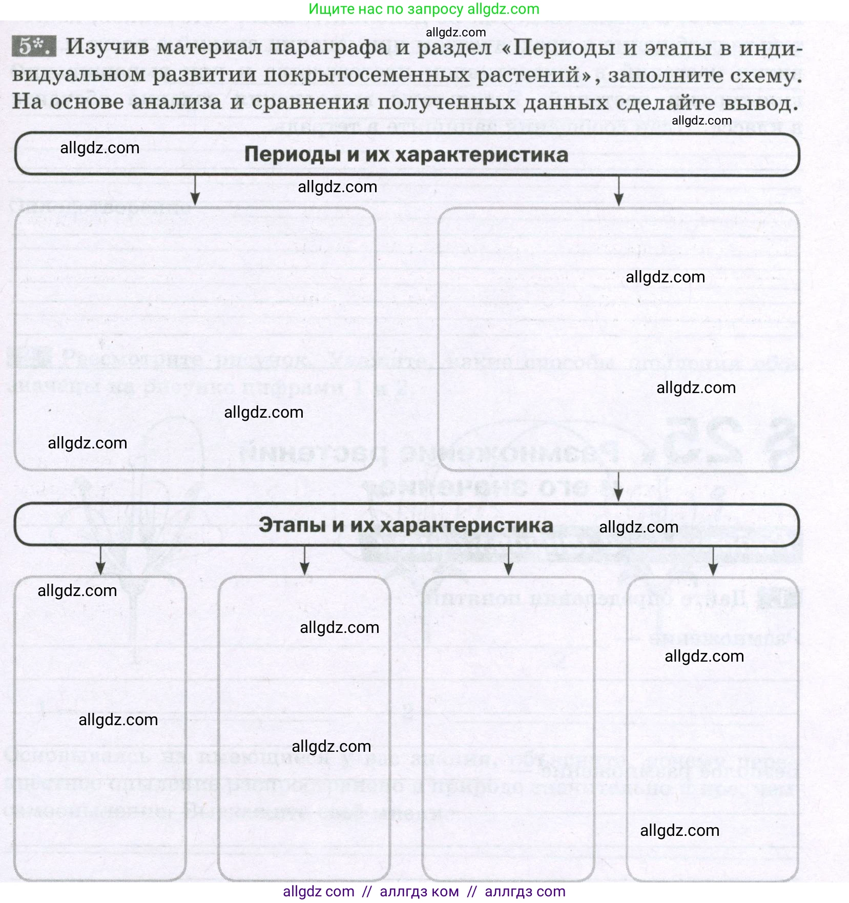 Биология, 6 класс рабочая тетрадь, авторы: Пасечник Владимир Васильевич, Суматохин Сергей Витальевич, Швецов Глеб Геннадьевич, Гапонюк Зоя Георгиевна, Косарькова Марина Викторовна, издательство Просвещение, Москва, 2023, белого цвета, страница 95, номер 5, Условие