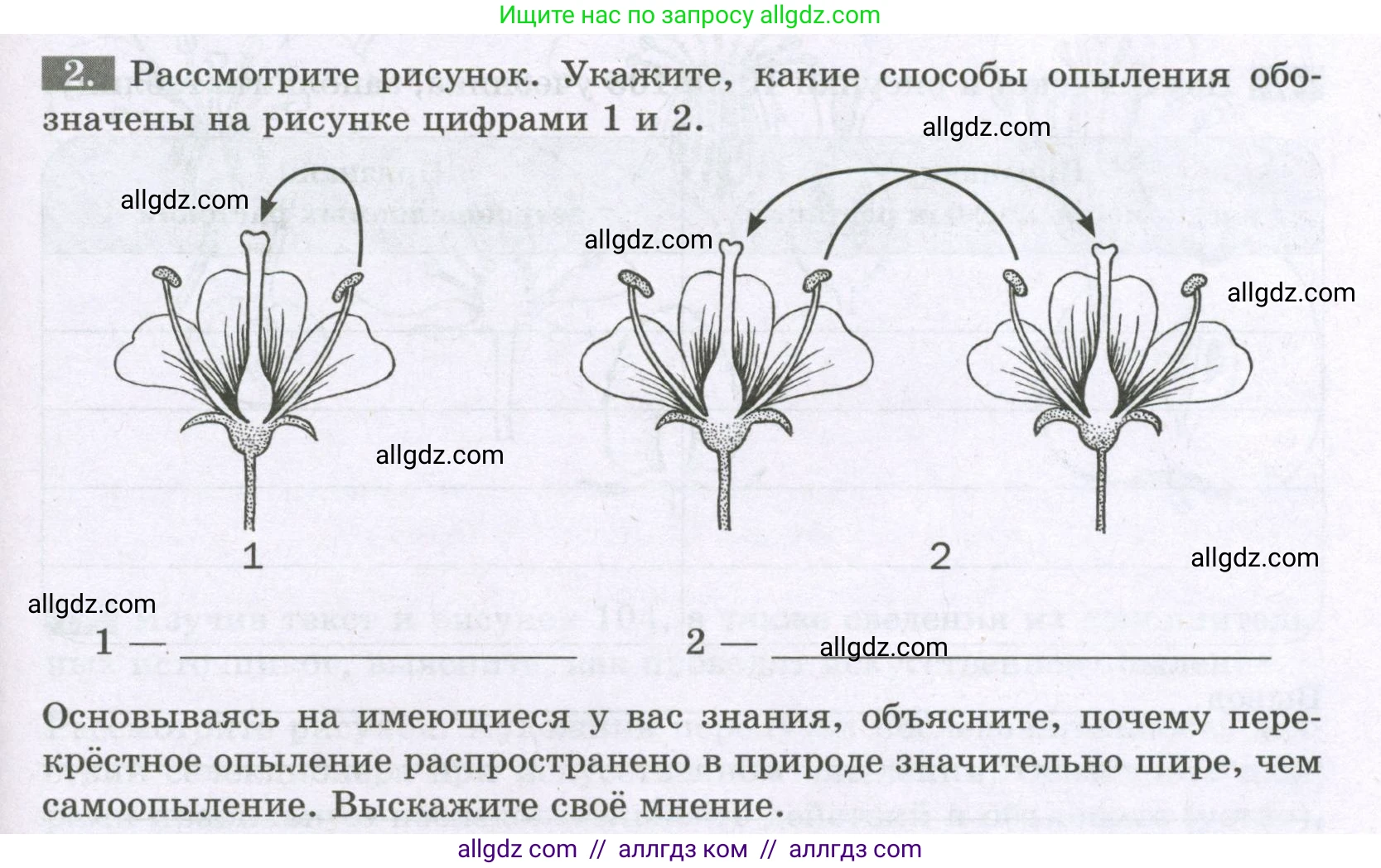 Биология, 6 класс рабочая тетрадь, авторы: Пасечник Владимир Васильевич, Суматохин Сергей Витальевич, Швецов Глеб Геннадьевич, Гапонюк Зоя Георгиевна, Косарькова Марина Викторовна, издательство Просвещение, Москва, 2023, белого цвета, страница 97, номер 2, Условие