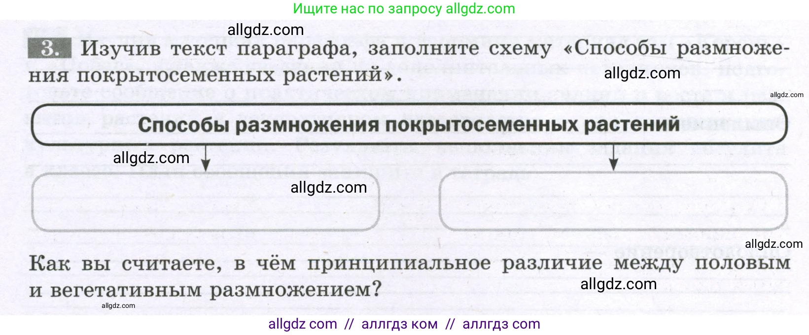 Биология, 6 класс рабочая тетрадь, авторы: Пасечник Владимир Васильевич, Суматохин Сергей Витальевич, Швецов Глеб Геннадьевич, Гапонюк Зоя Георгиевна, Косарькова Марина Викторовна, издательство Просвещение, Москва, 2023, белого цвета, страница 98, номер 3, Условие